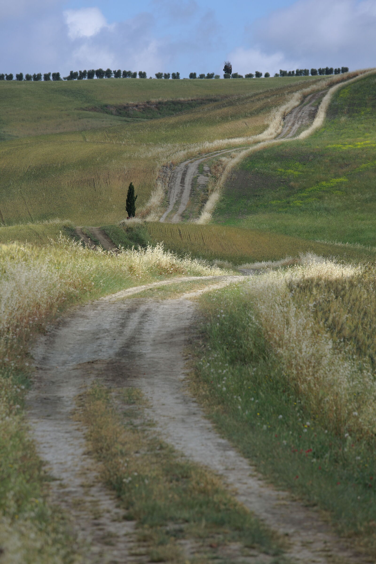 Hymn to the summer solstice