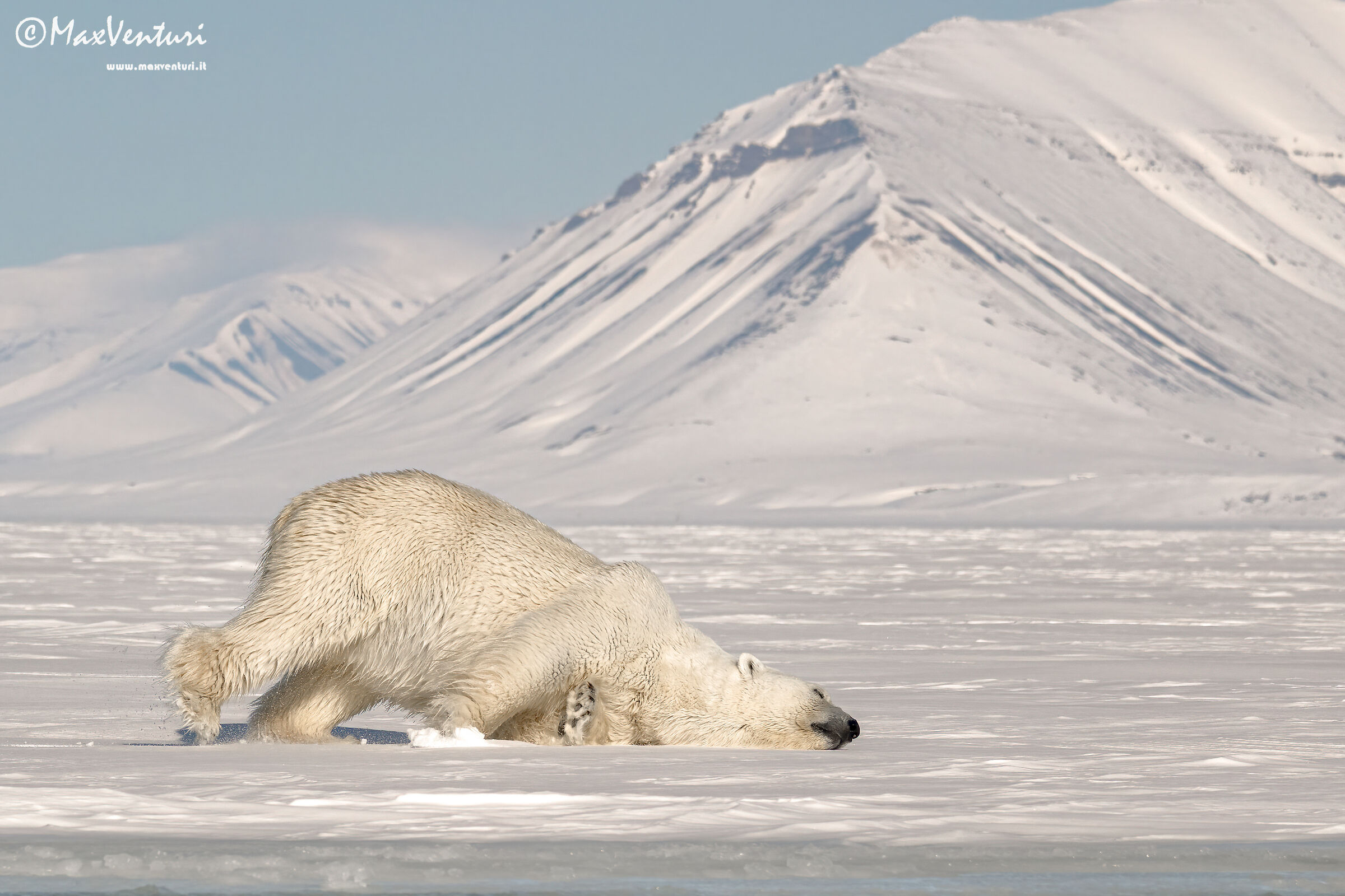 SVALBARD