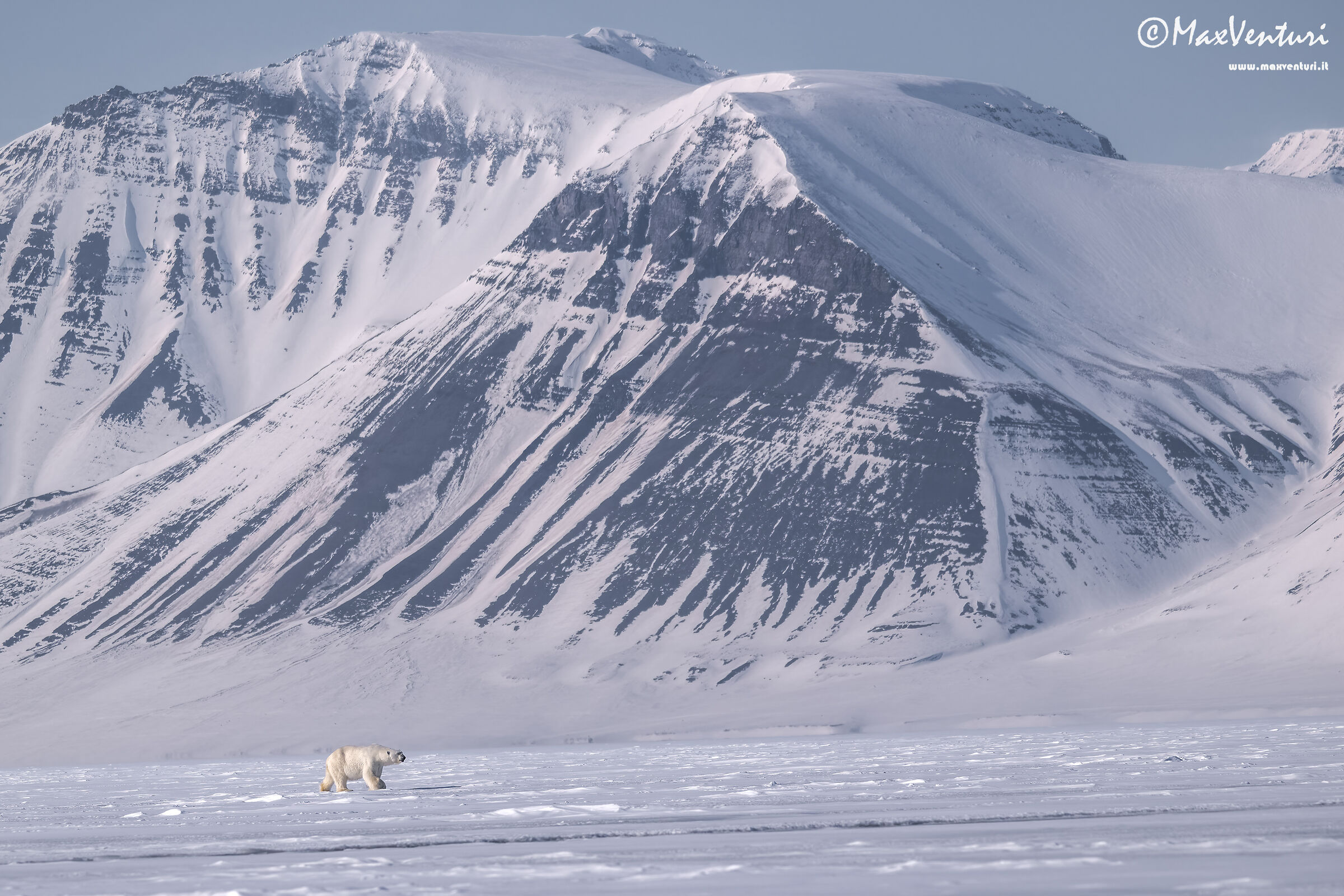 SVALBARD