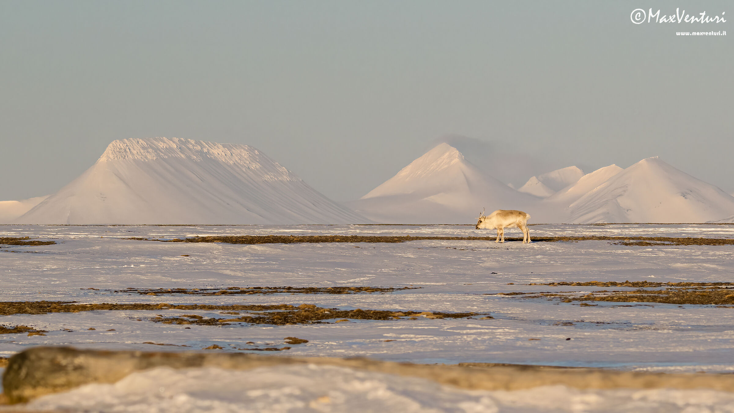 SVALBARD