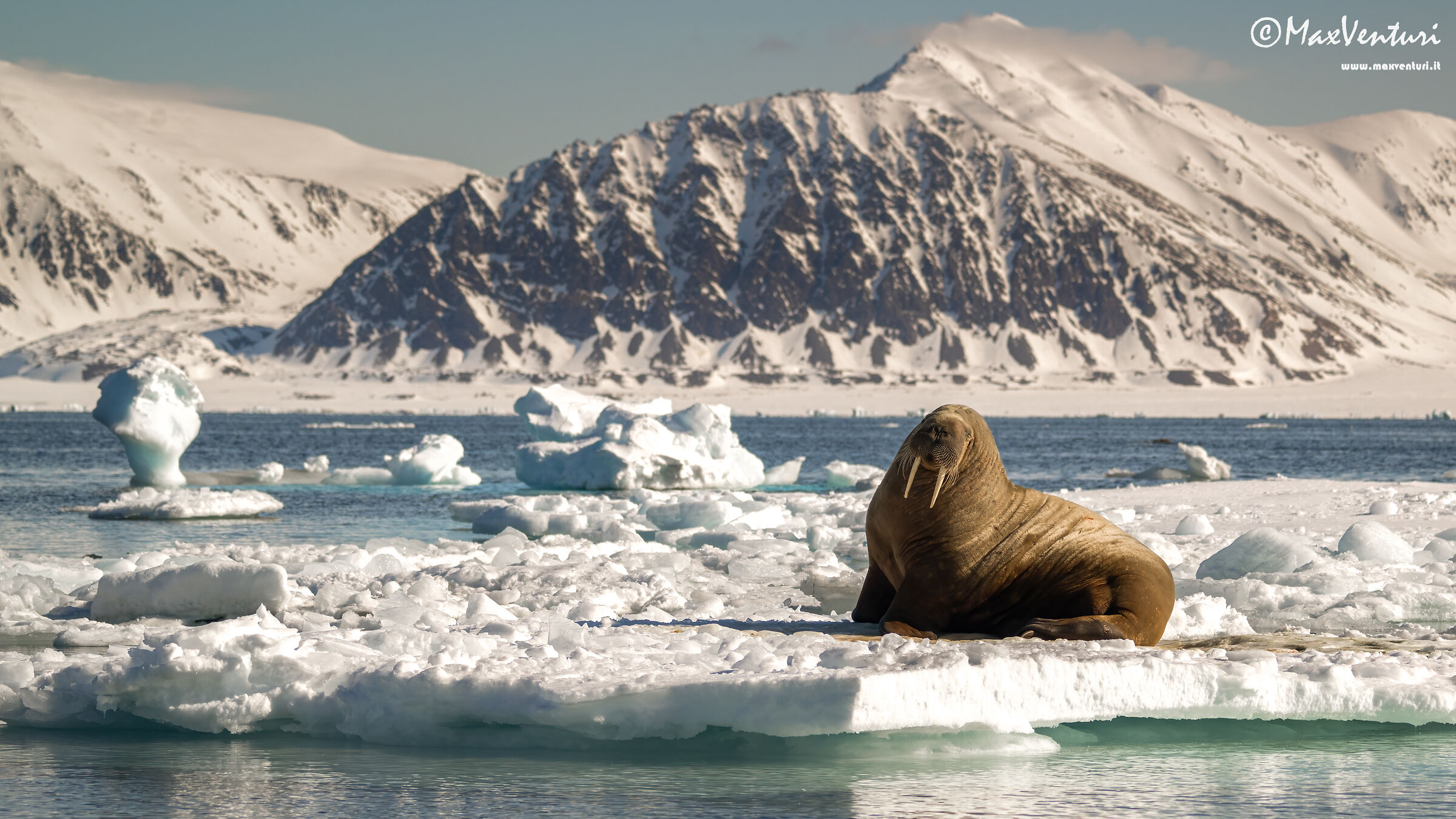 SVALBARD