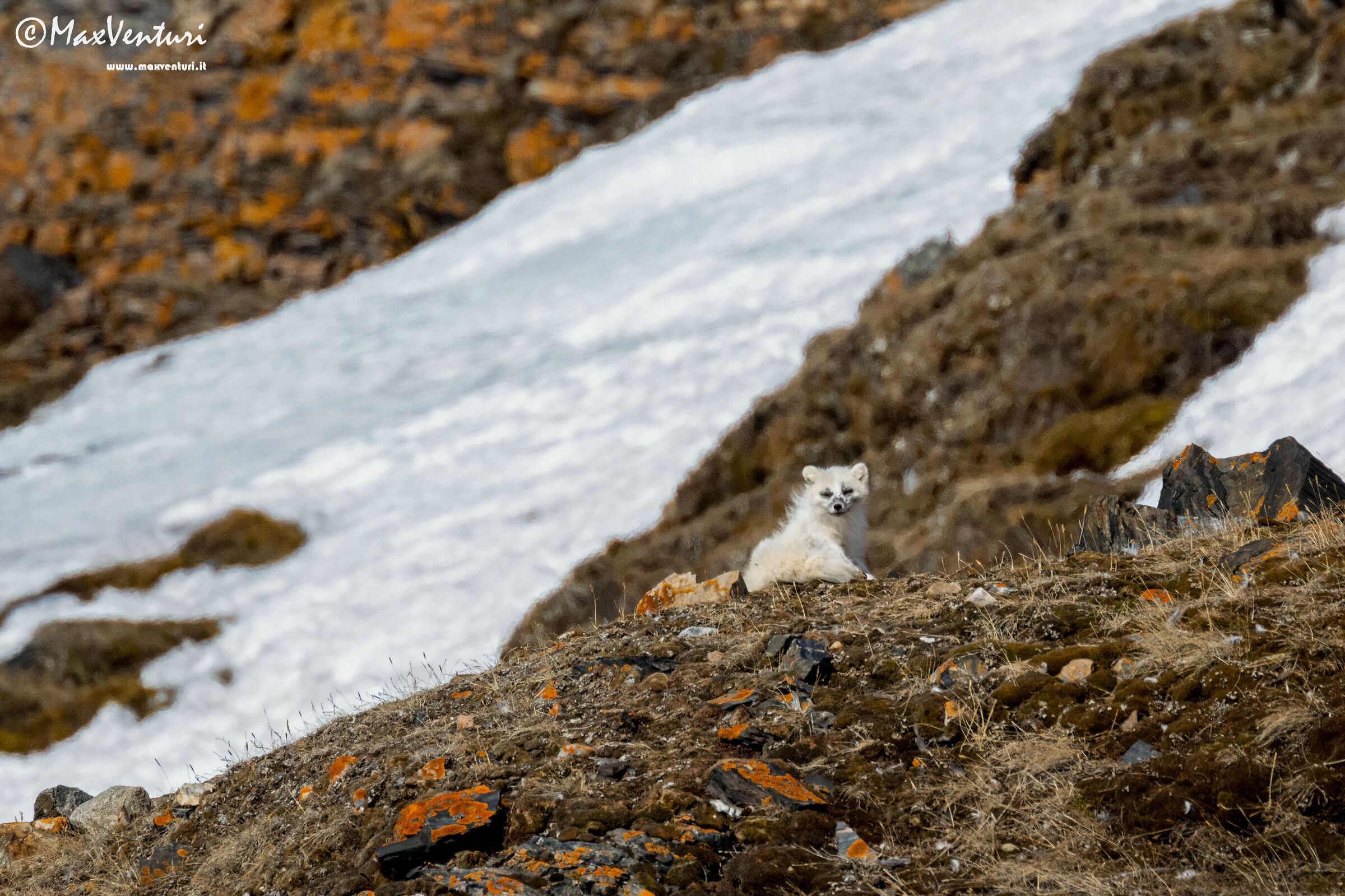 SVALBARD