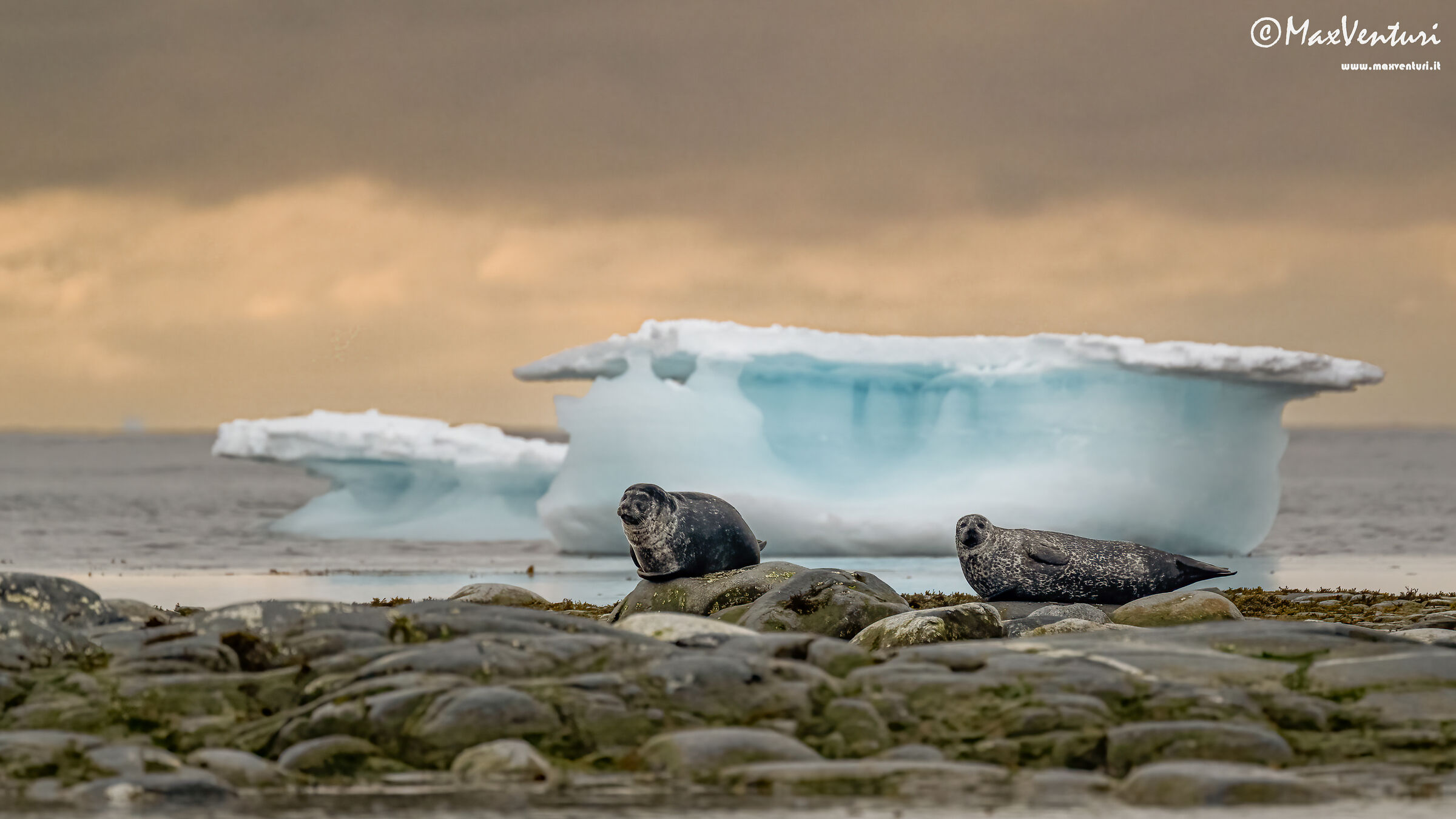 SVALBARD