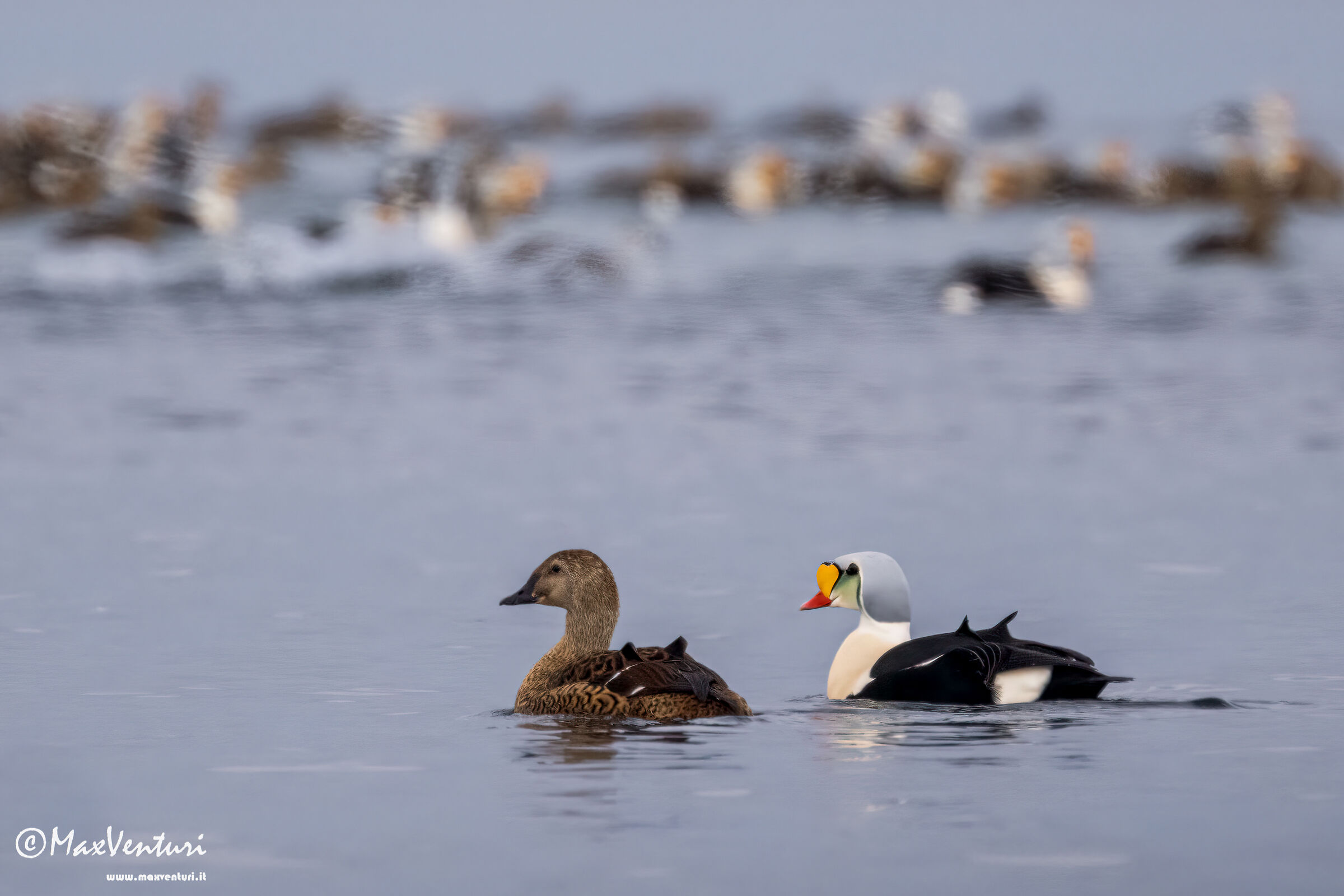 SVALBARD