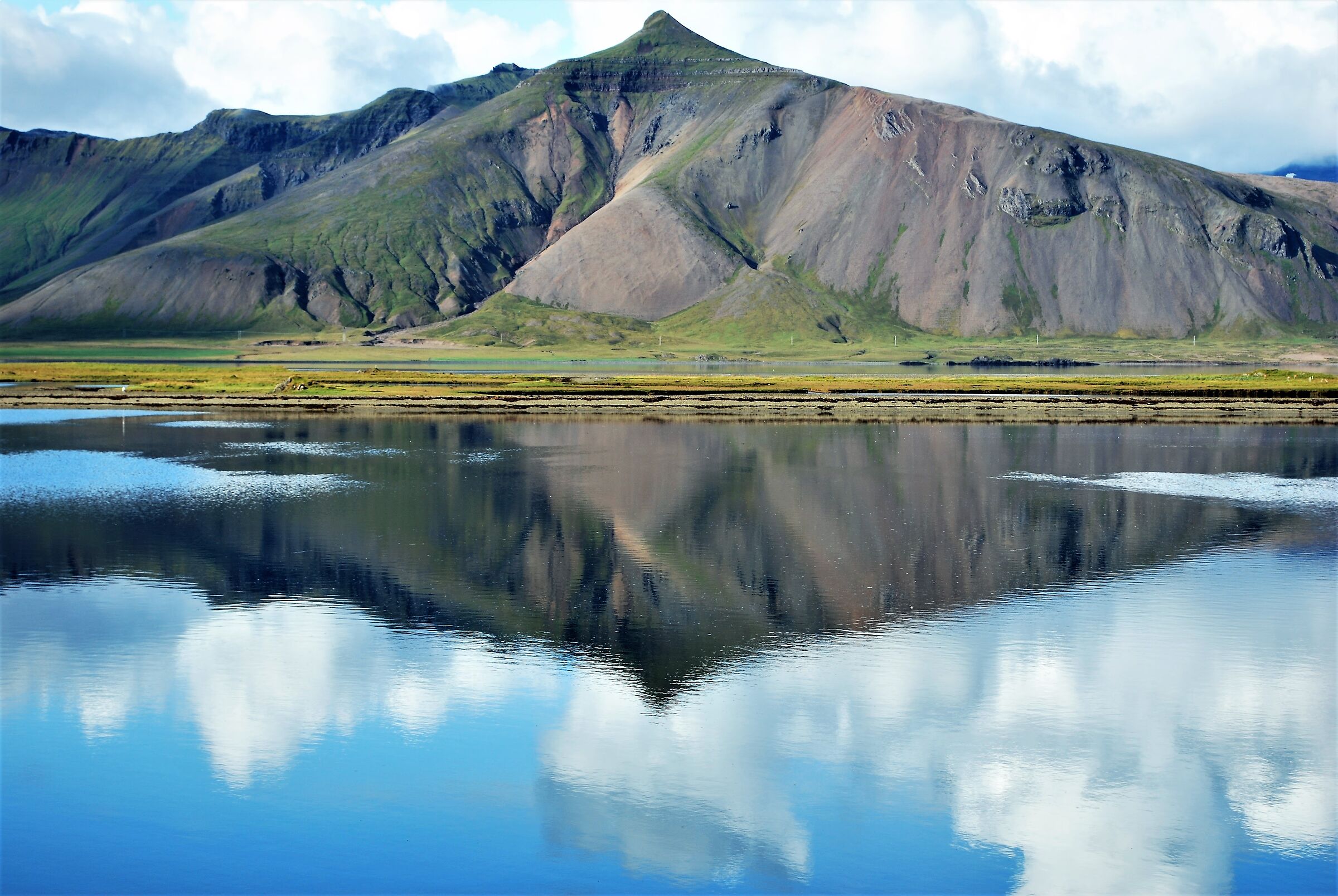 Riflessi