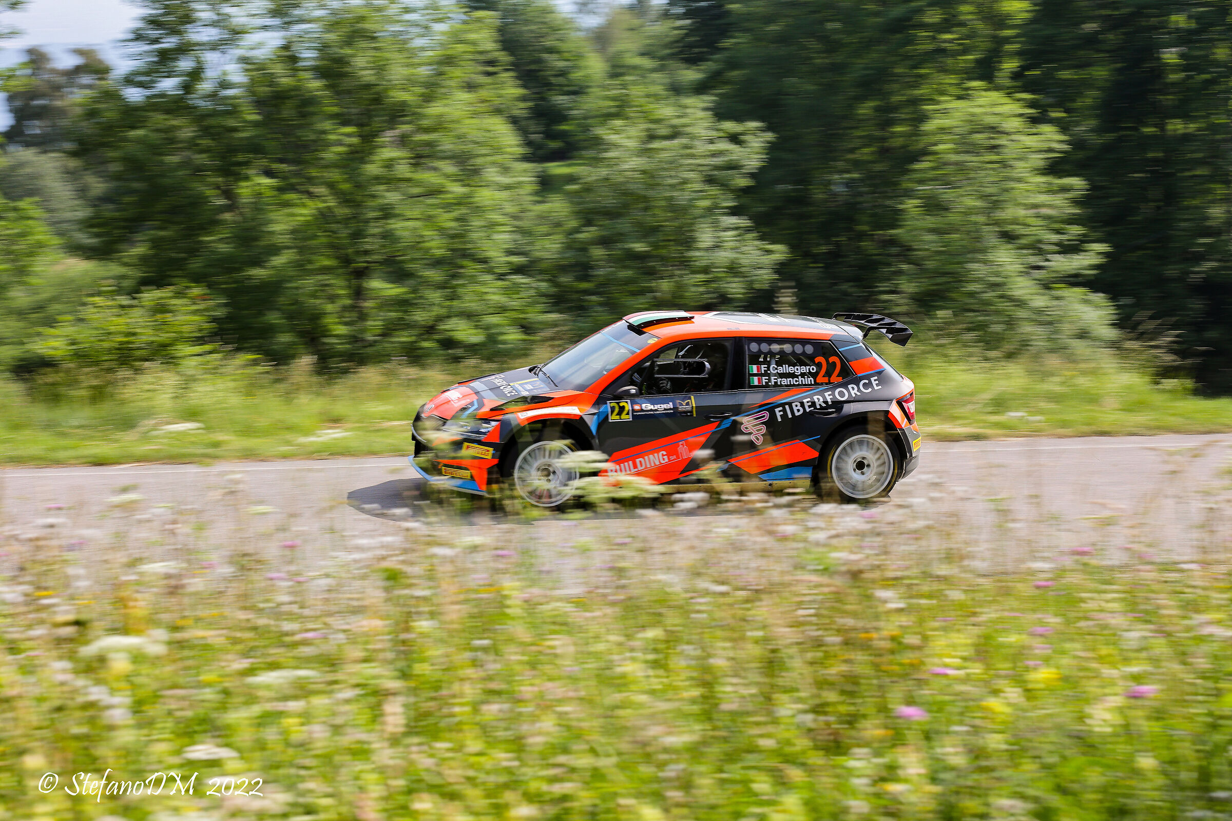 Meadows, woods and... Skoda!