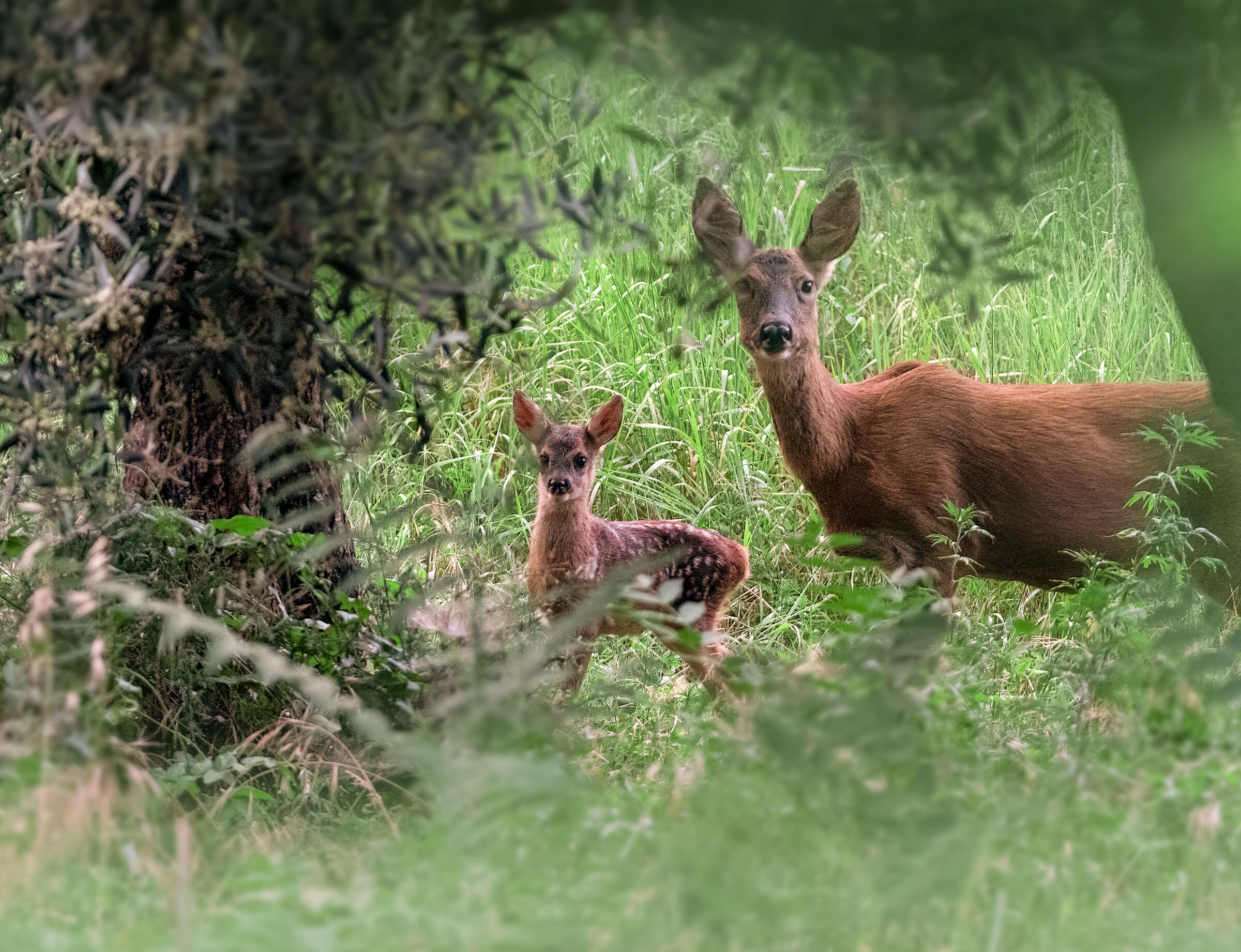 The Mother with her little one of a few days