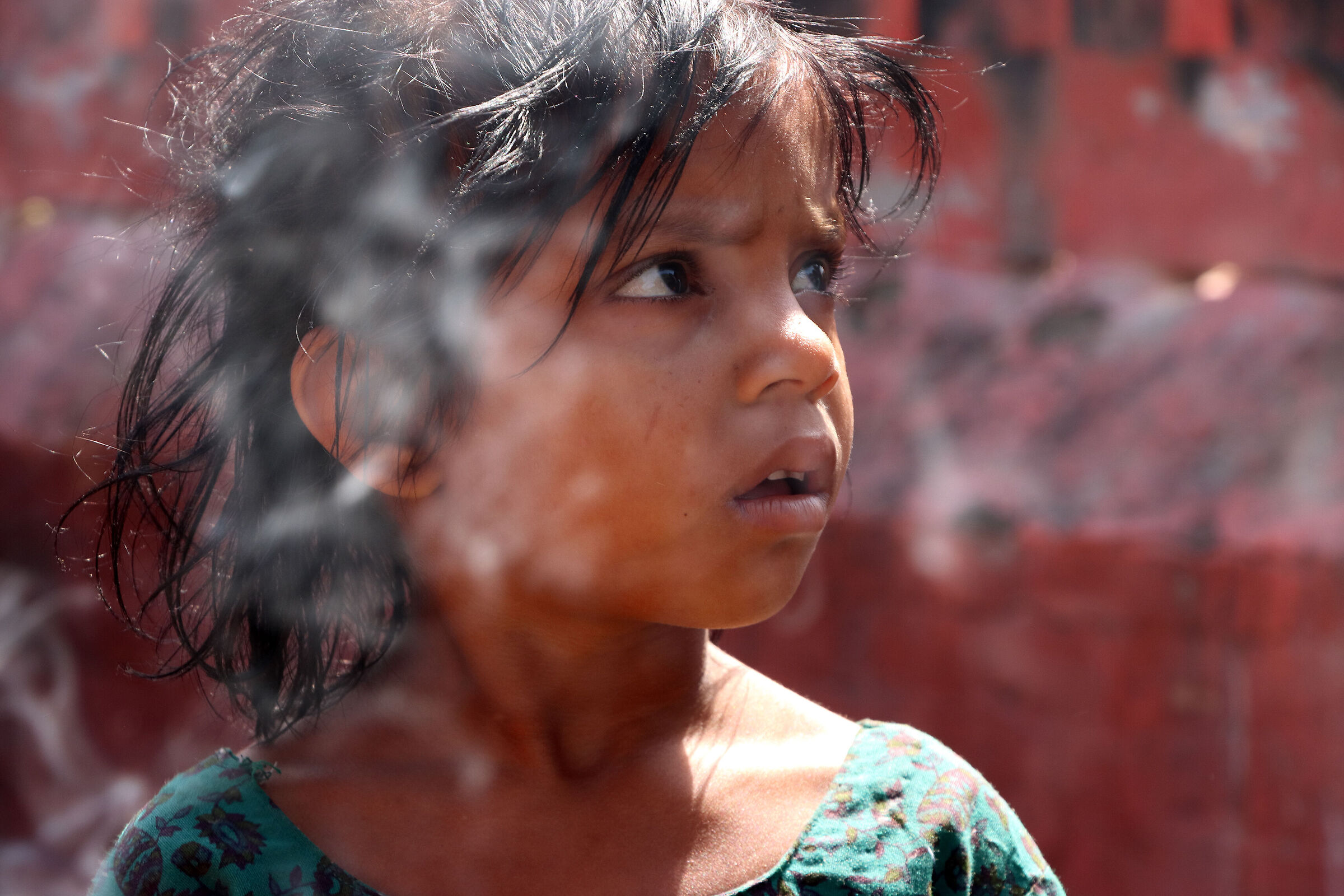 ritratto a Budhanilkantha