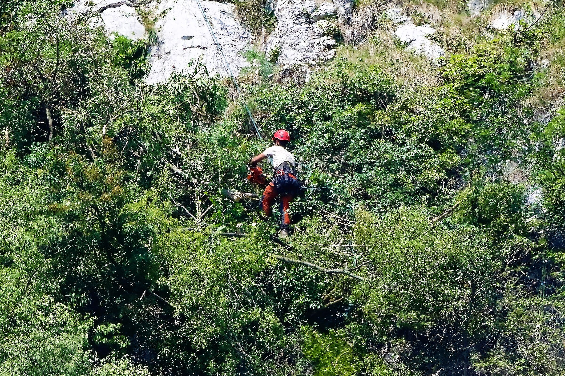 repulisti 16-05-2022