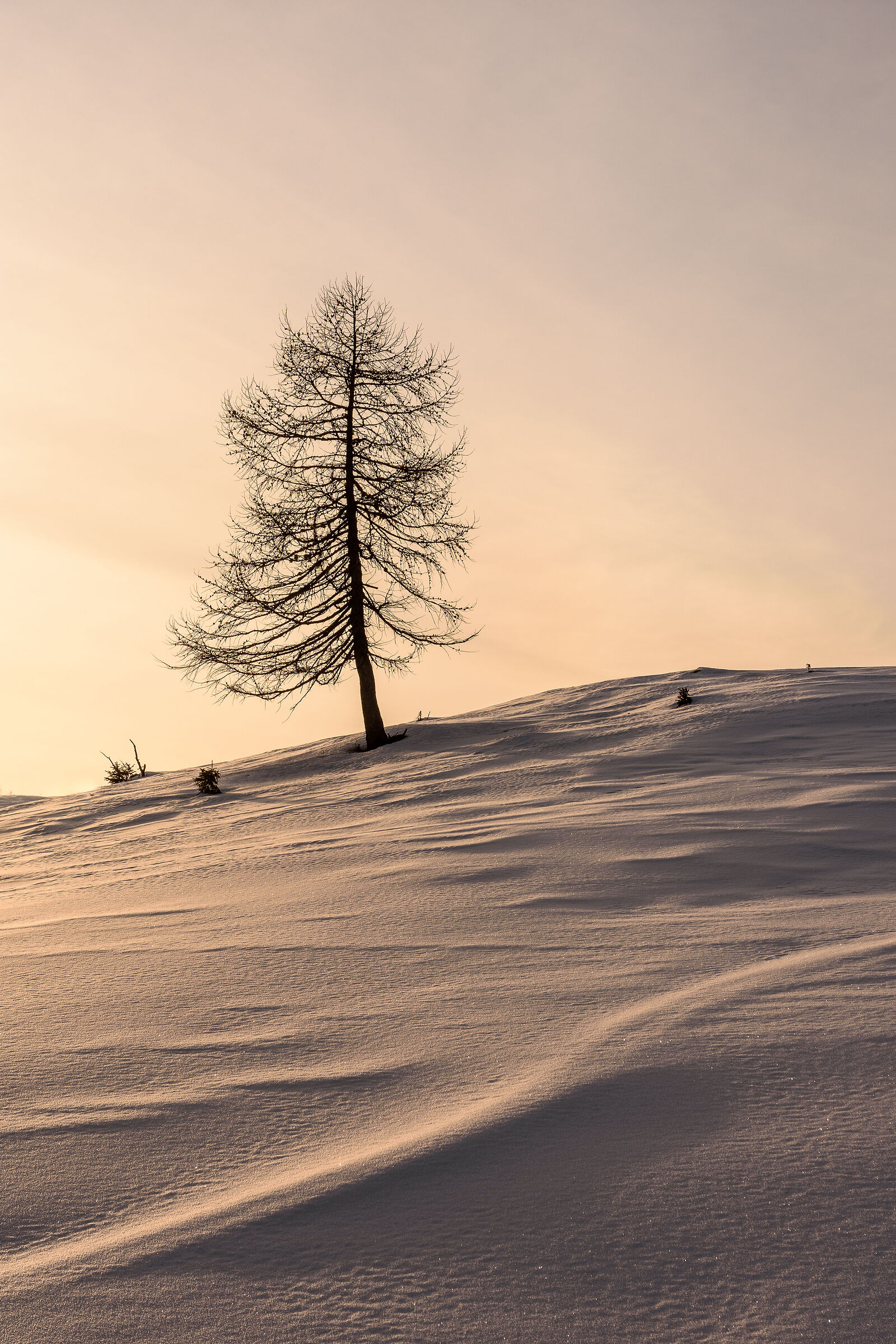 Untitled Photo