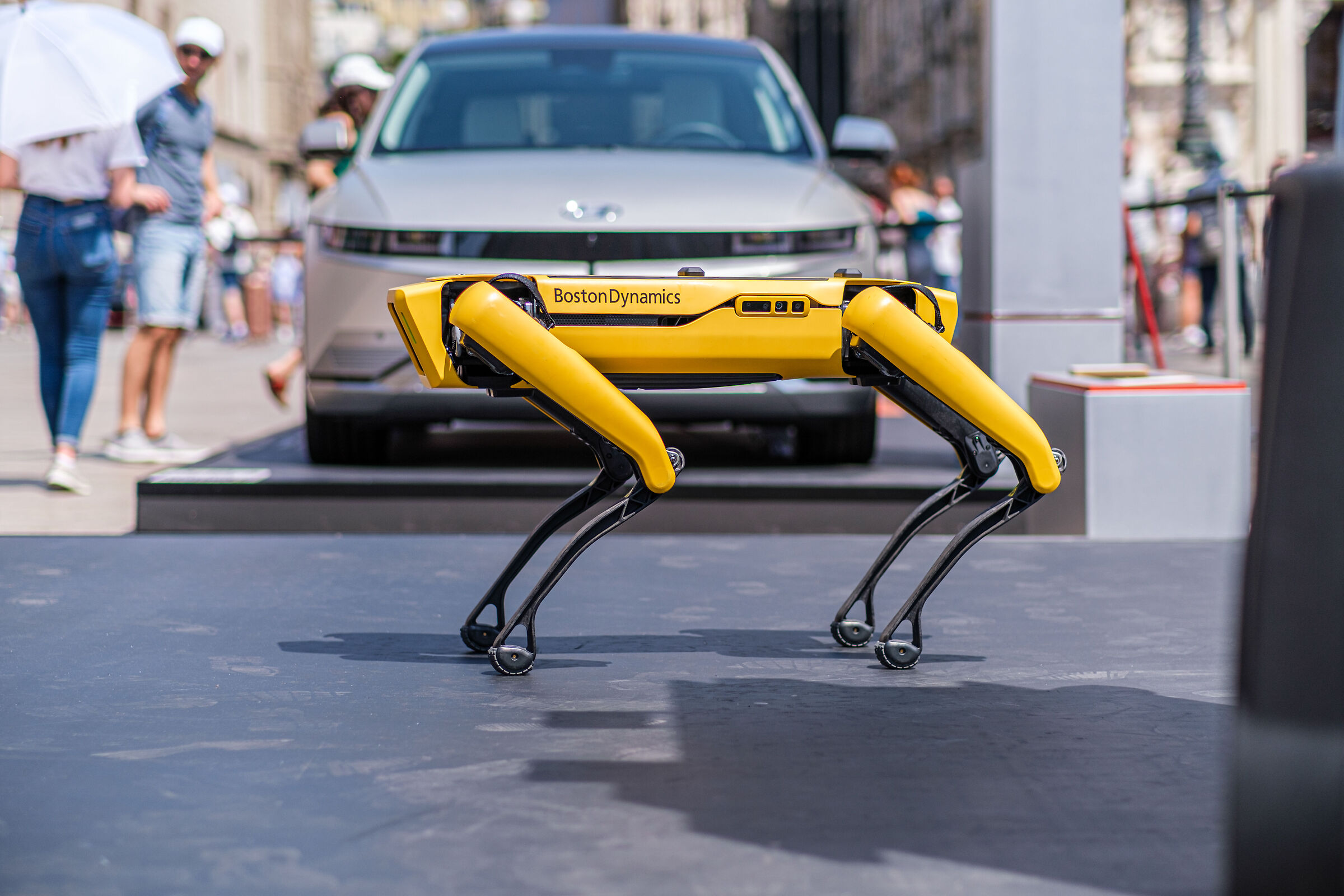 Little dog Spot boston dynamics