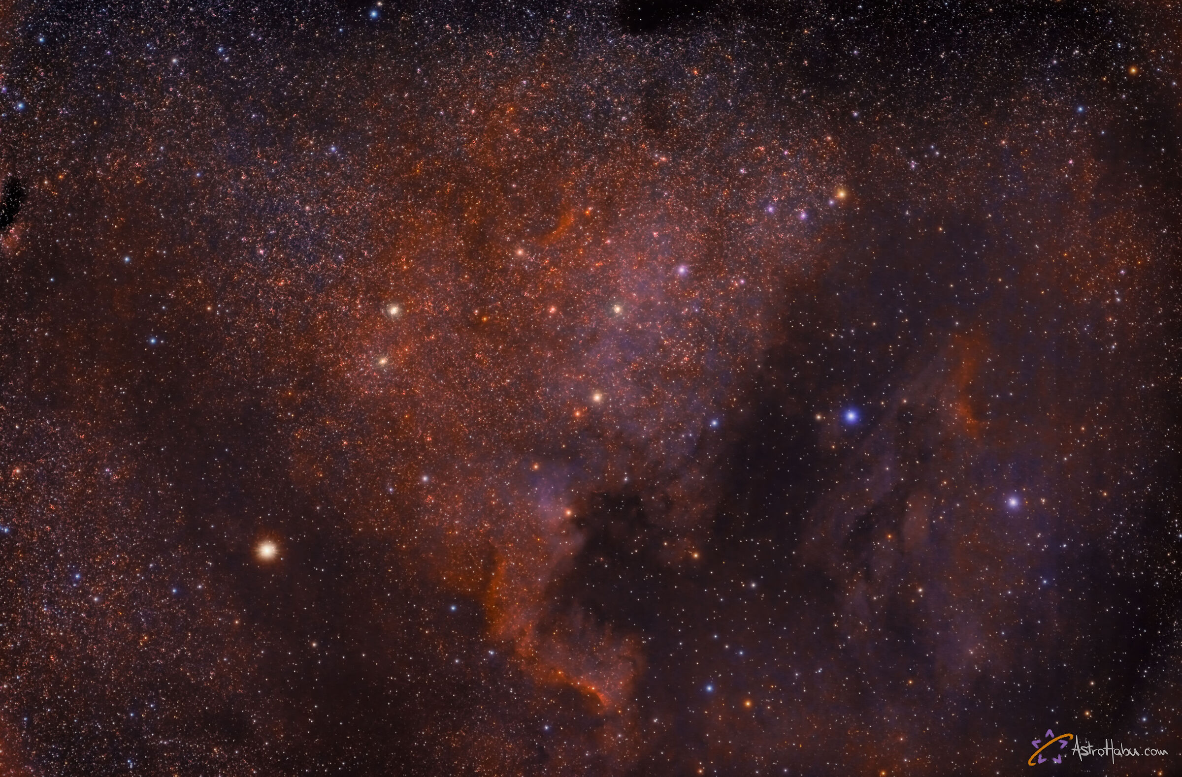 Nebulose Nord America e Pellicano in Cigno