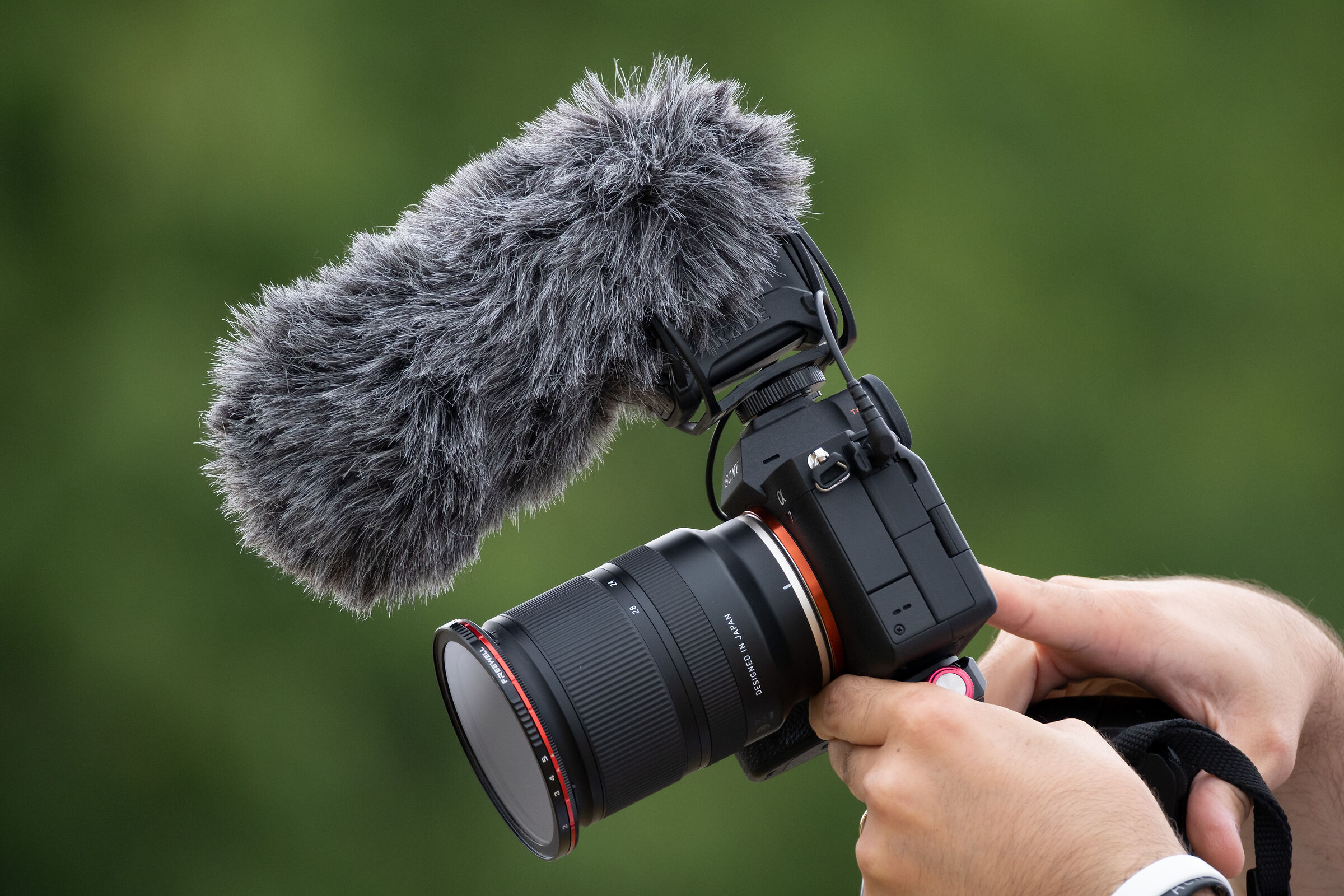 Sample Fujifilm XF 150-600mm @ 600mm