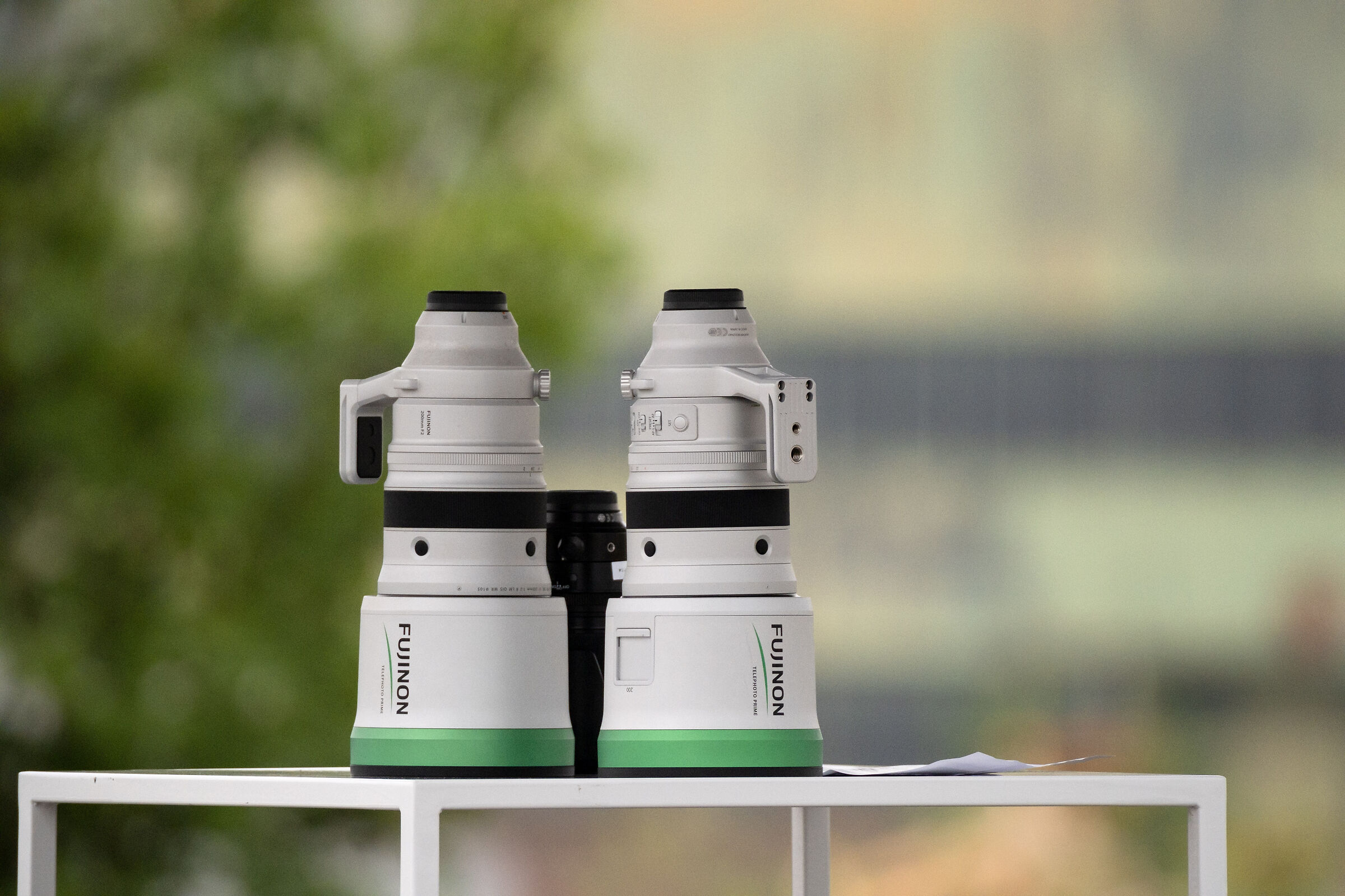 Sample Fujifilm XF 150-600mm @ 600mm