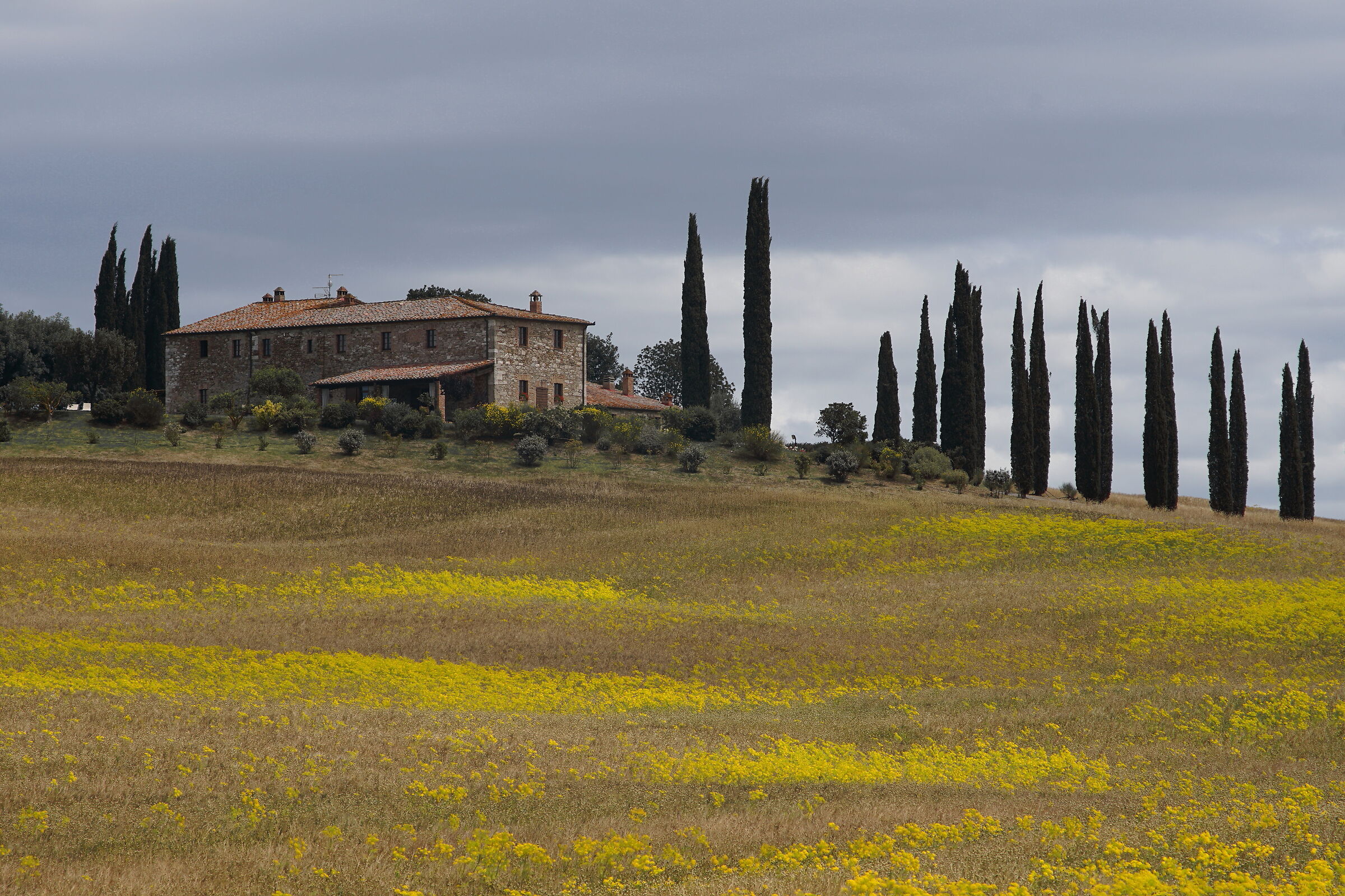 colline toscane