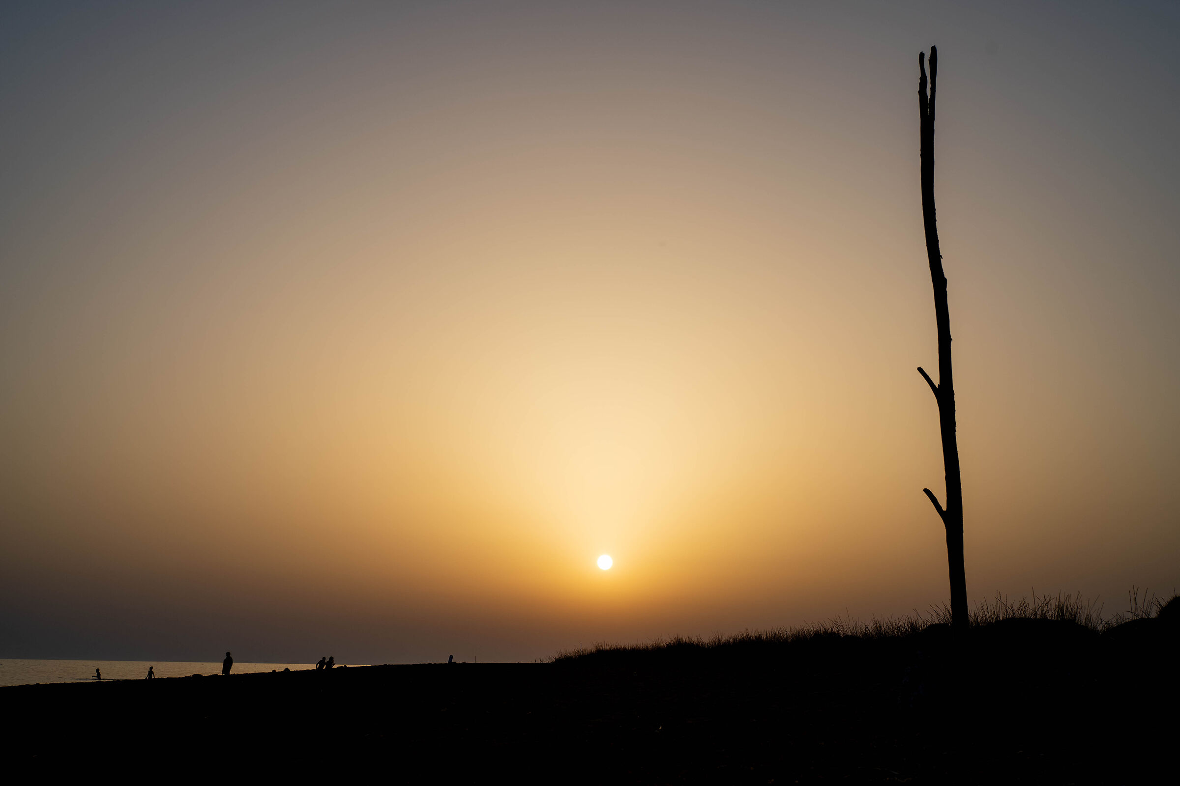 Primo giorno d' estate