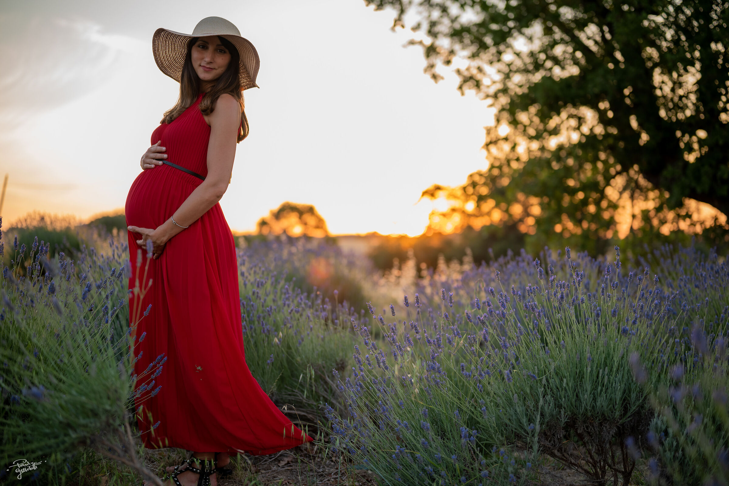 La lavanda di Massignano