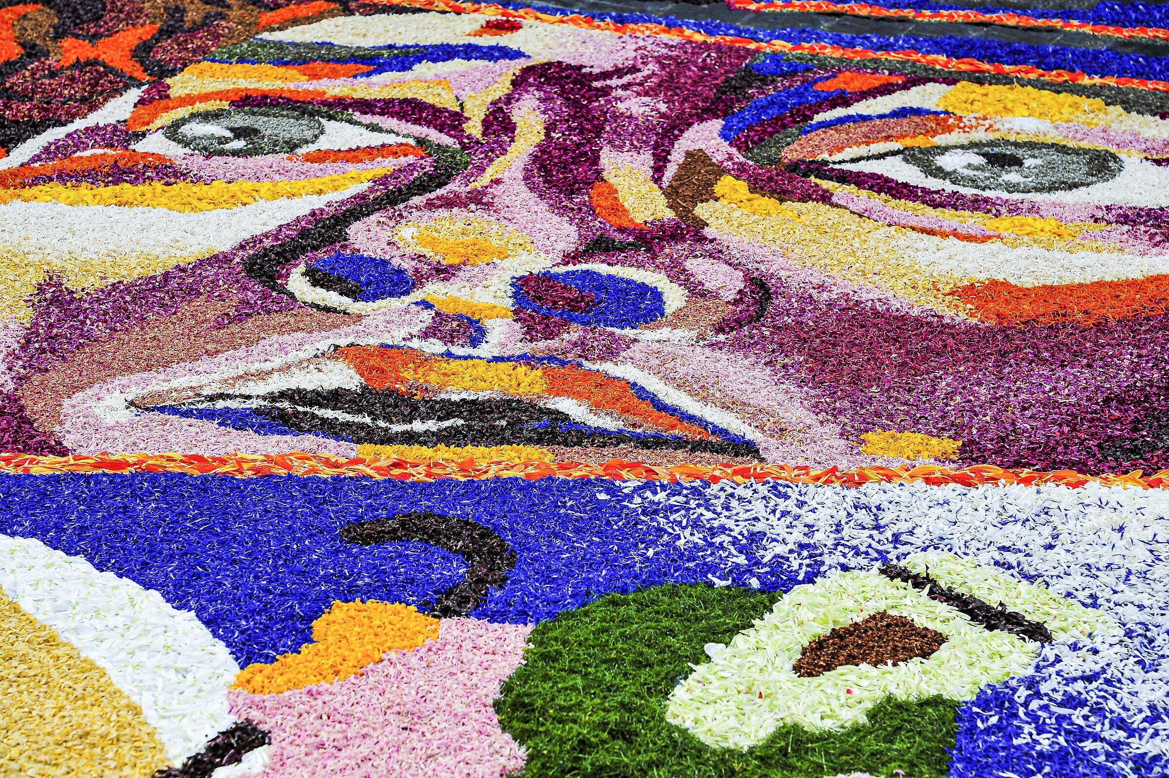 infiorata 16
