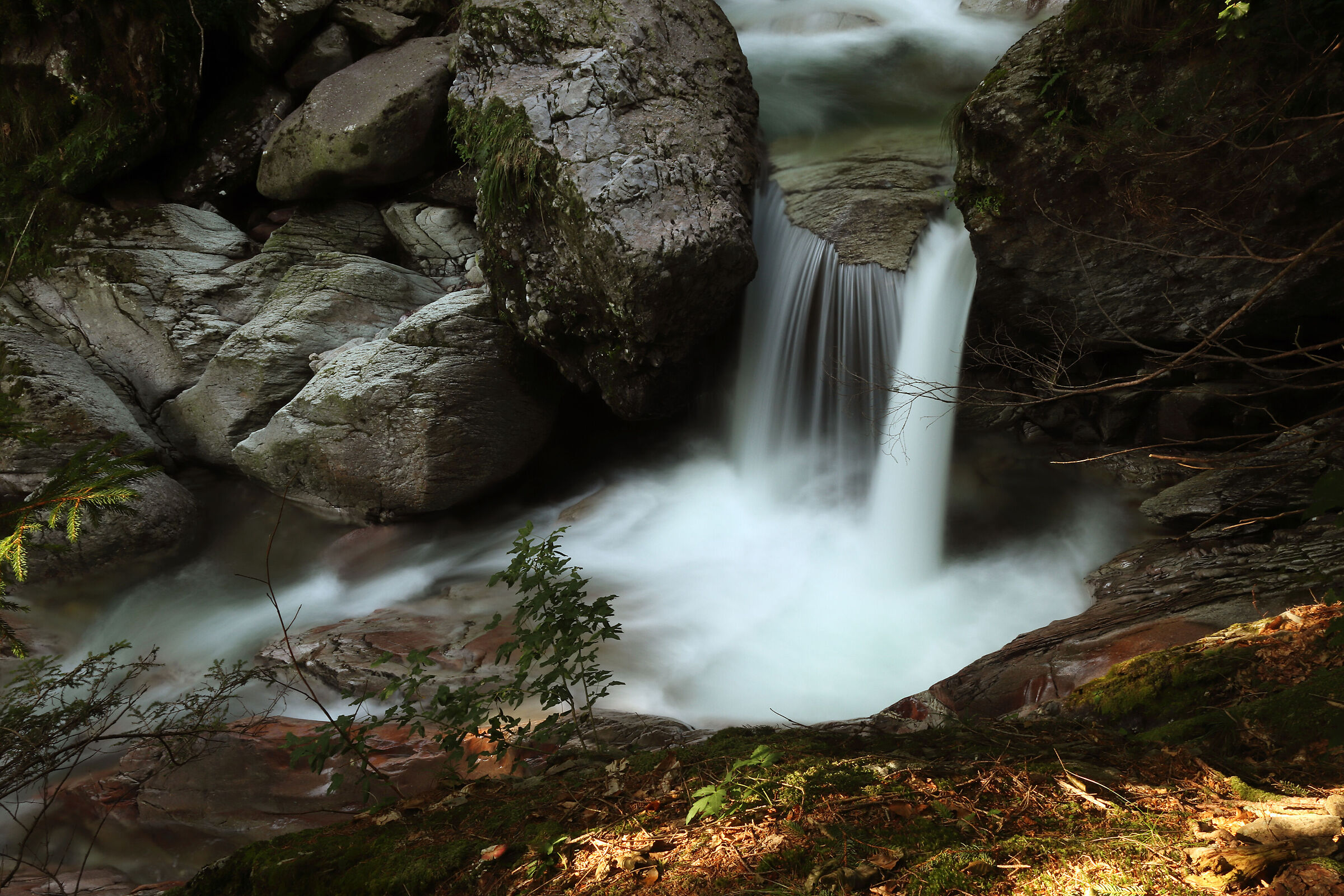 V A L S A N G U I G N O