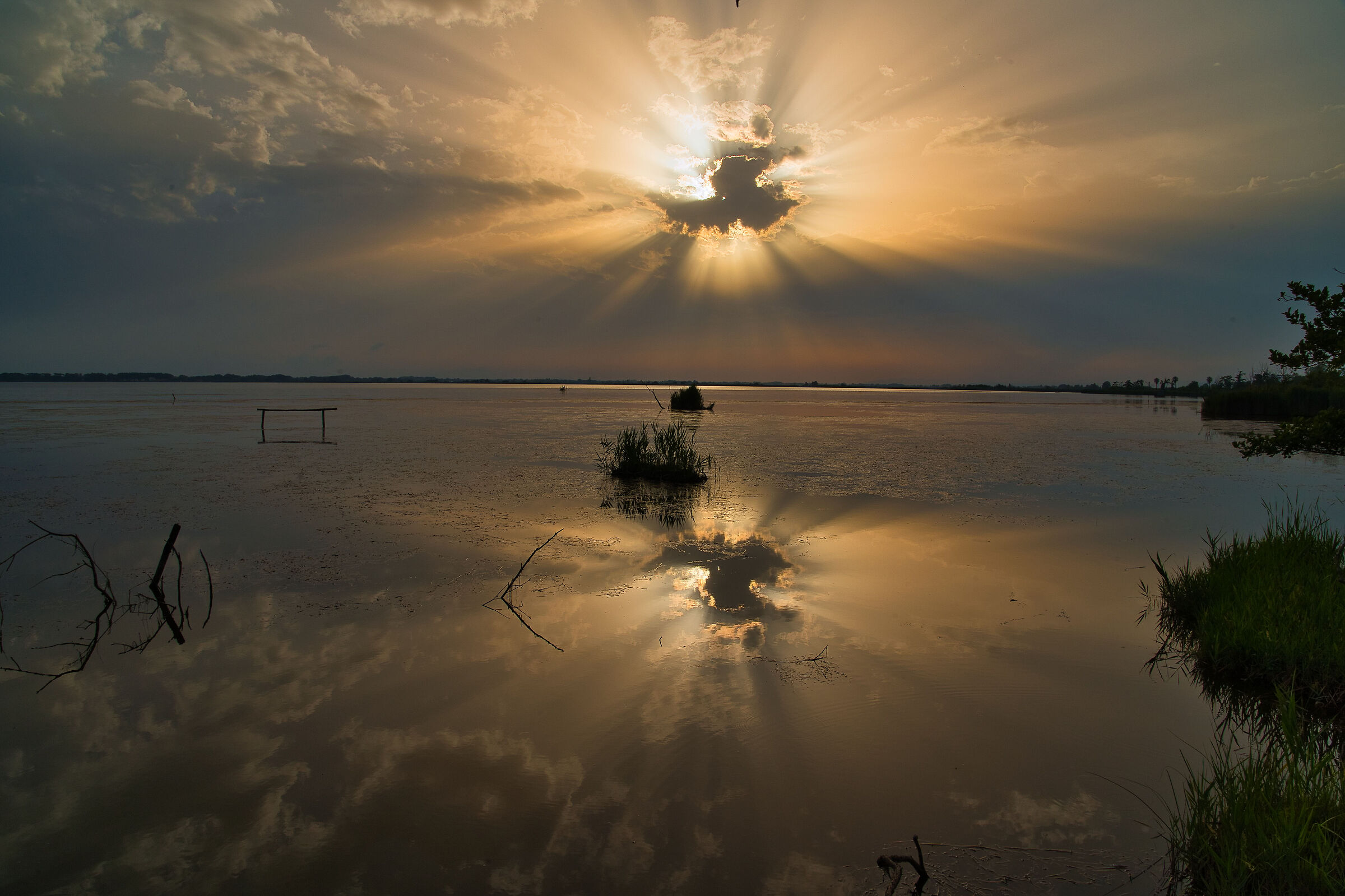 Lago di Massaciuccoli