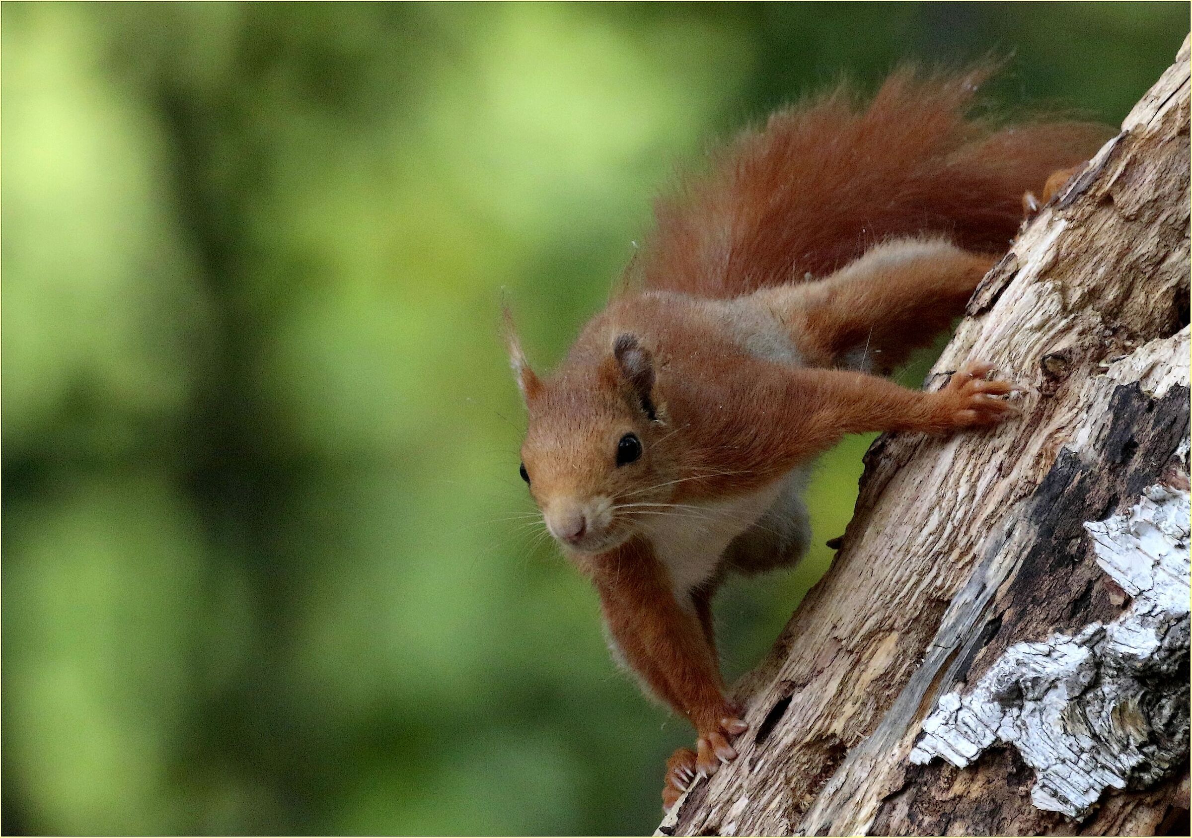 ,, they are ours, we hope they hold ,,