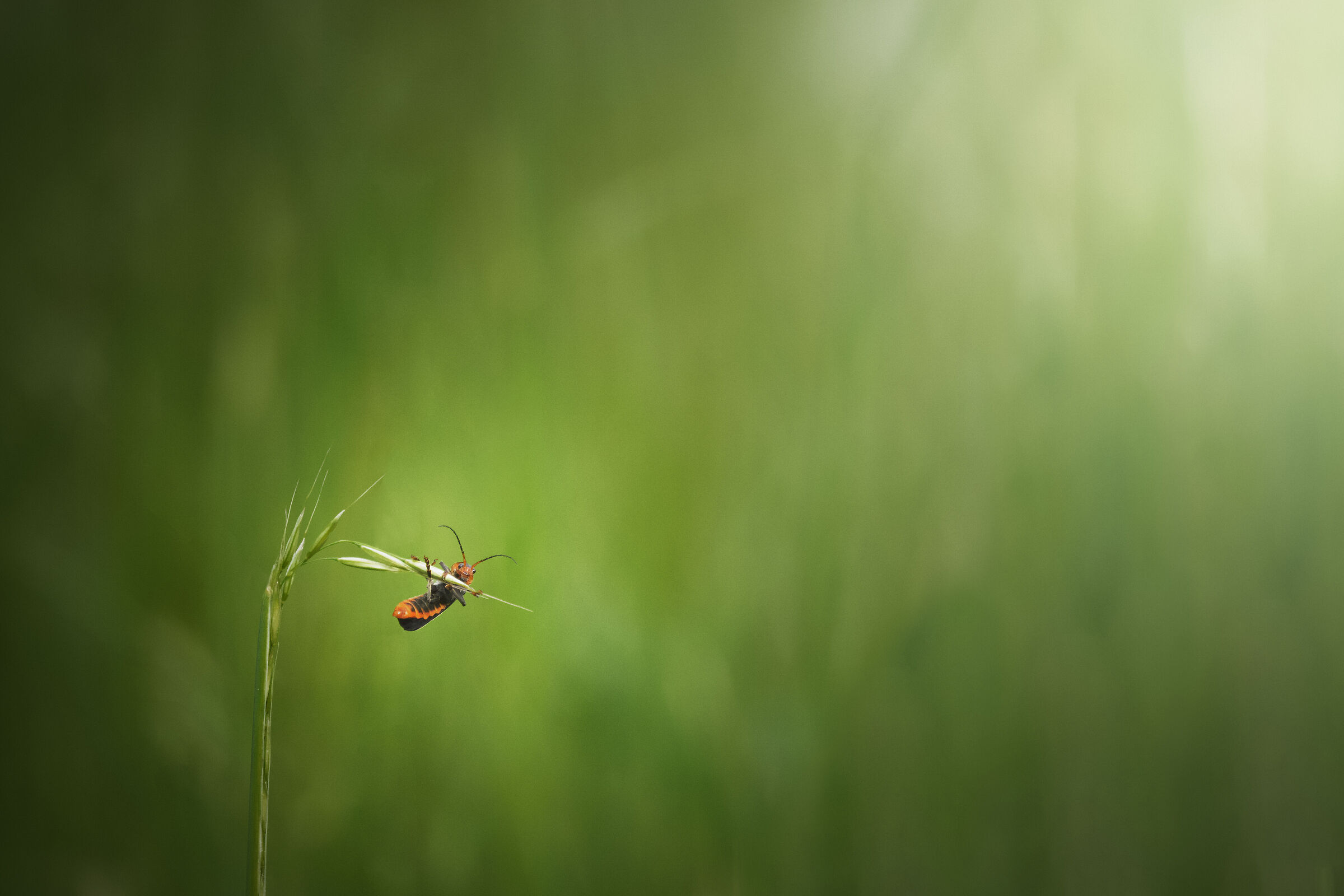 Untitled Photo