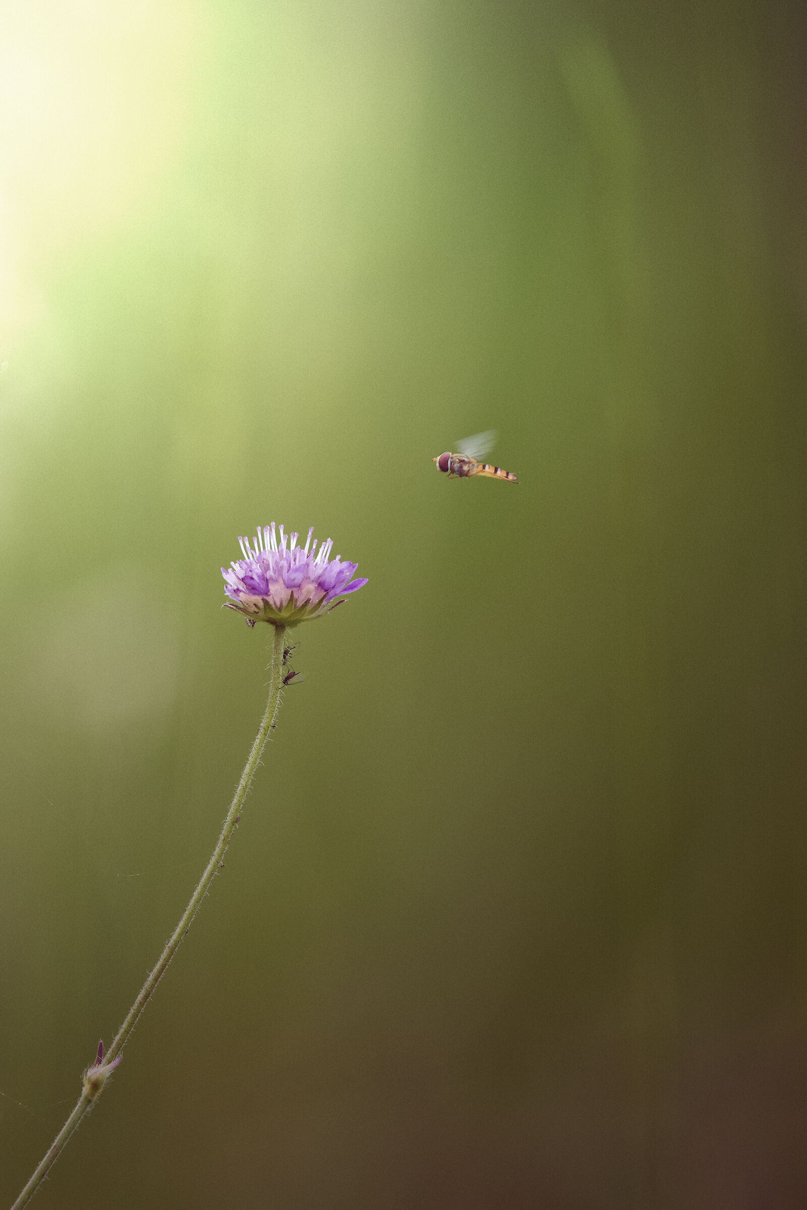 Untitled Photo