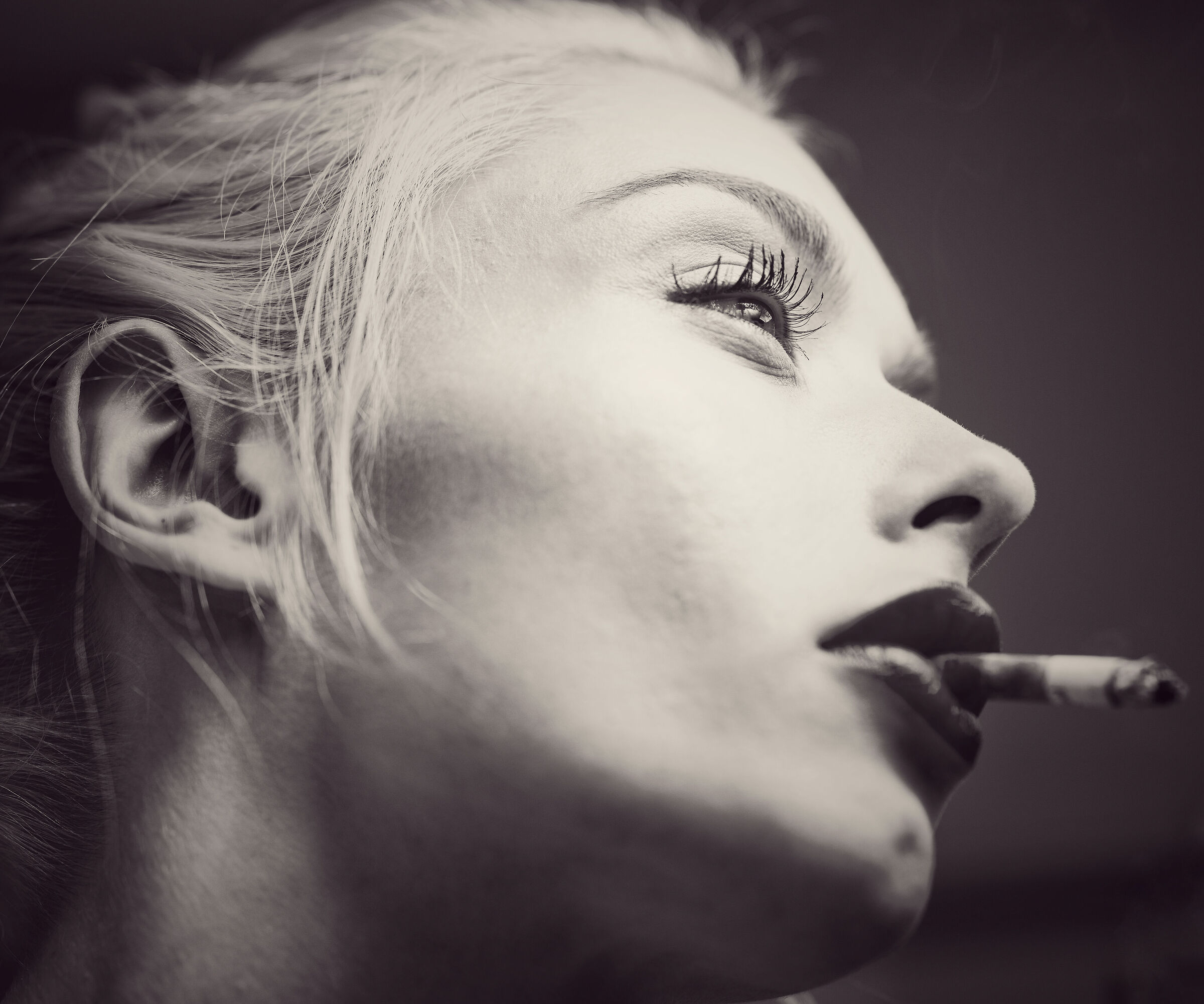 Untitled Photo