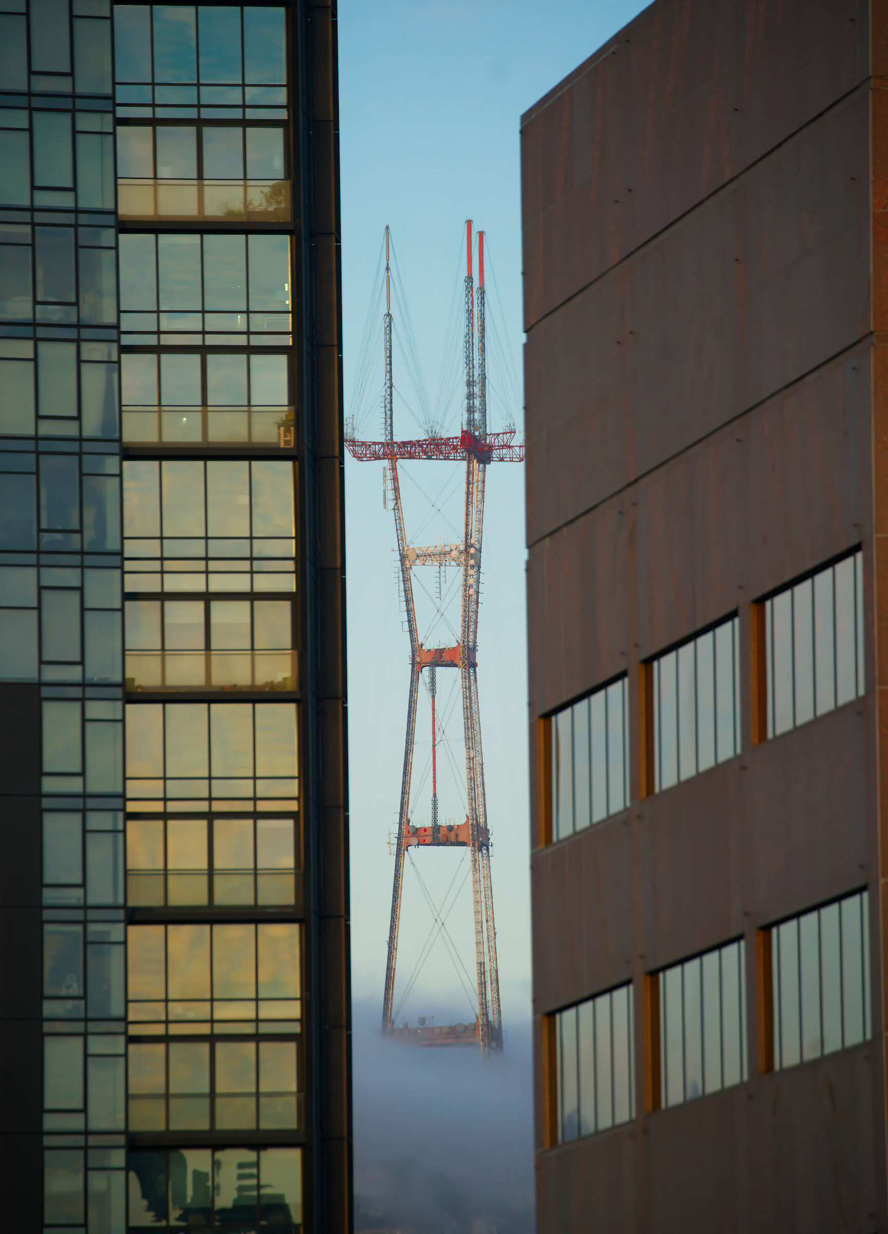 fog in the evening...