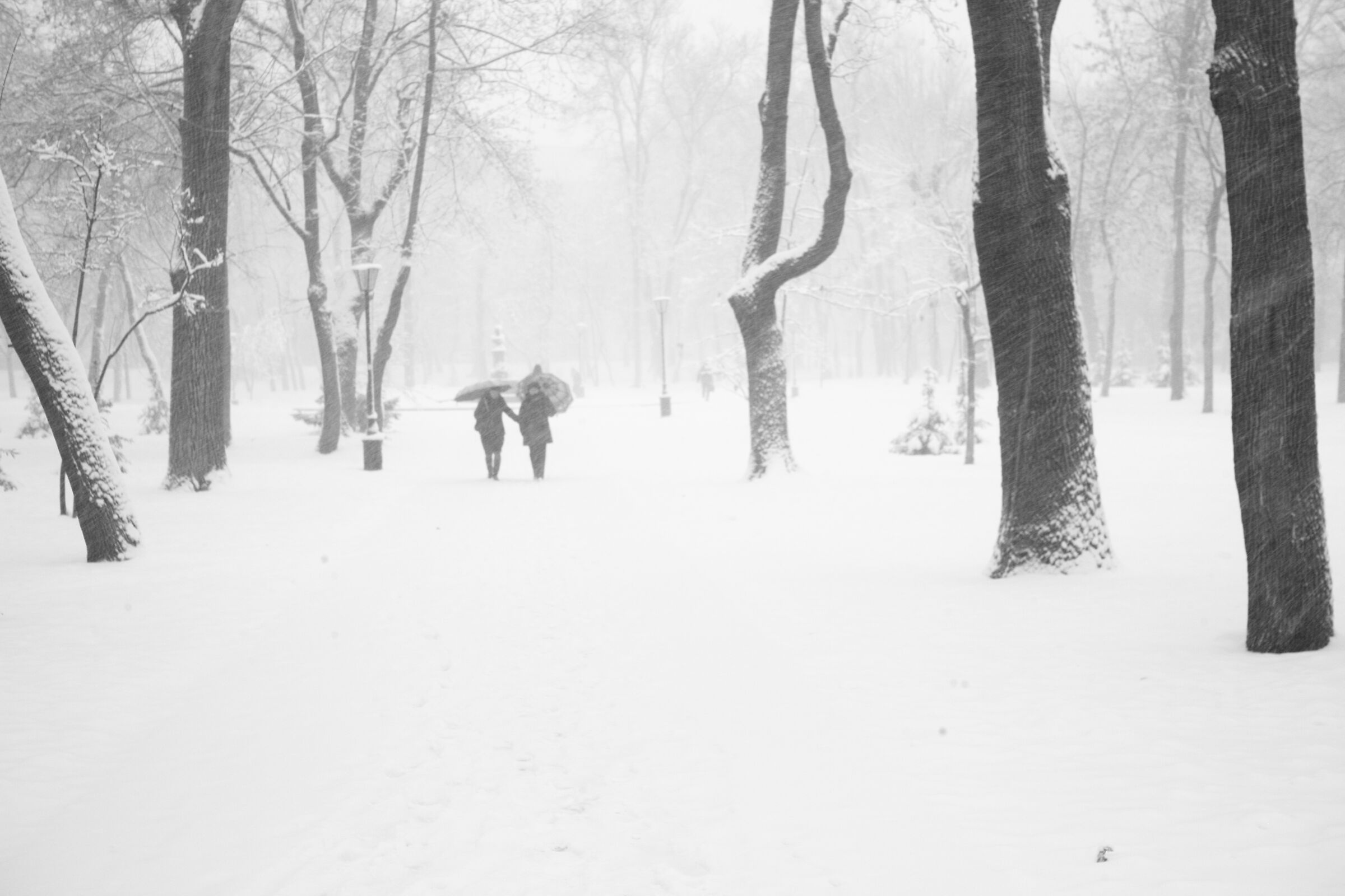 Blizzard 2 ·