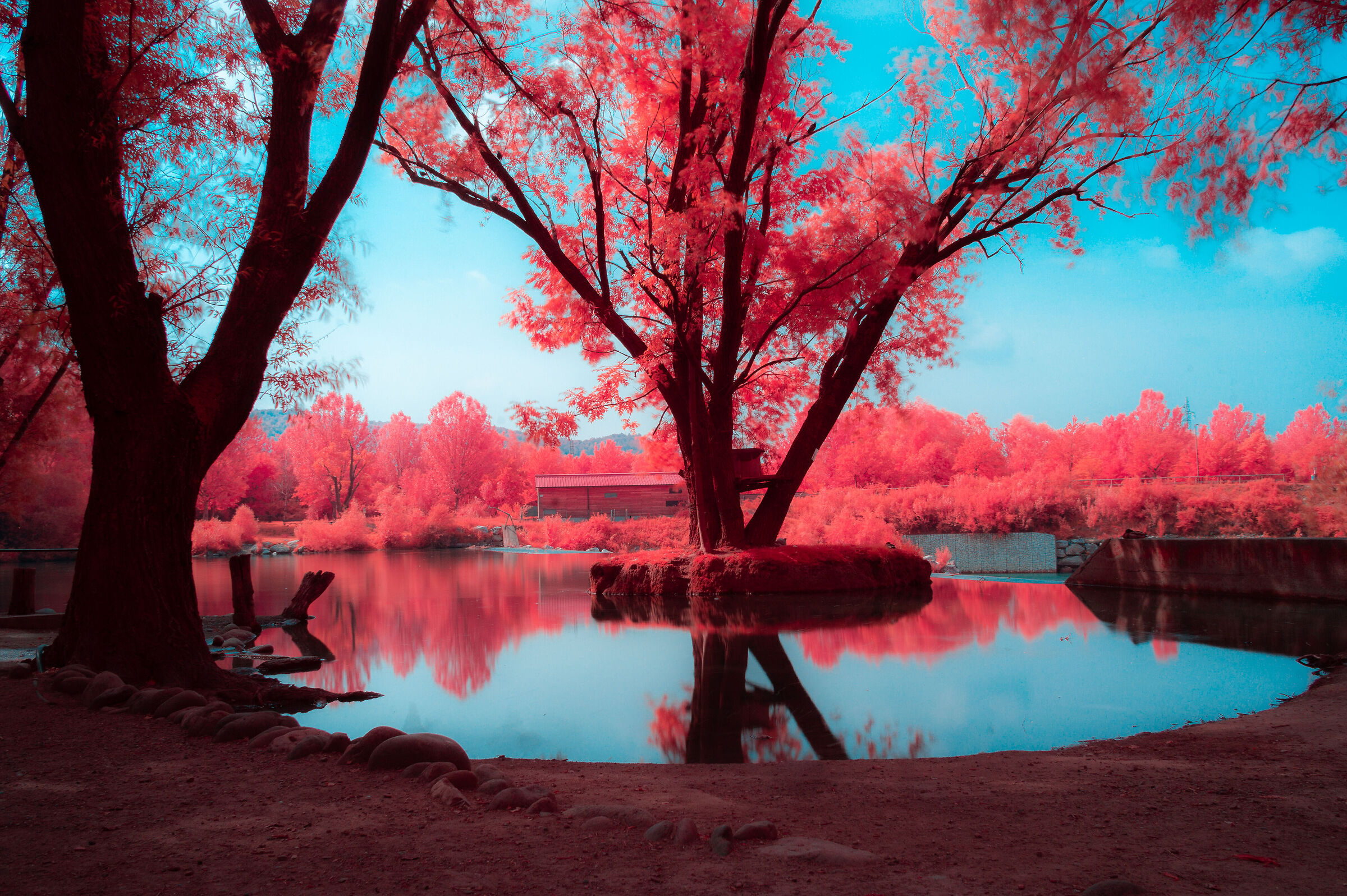 Serio River in Infrared/2