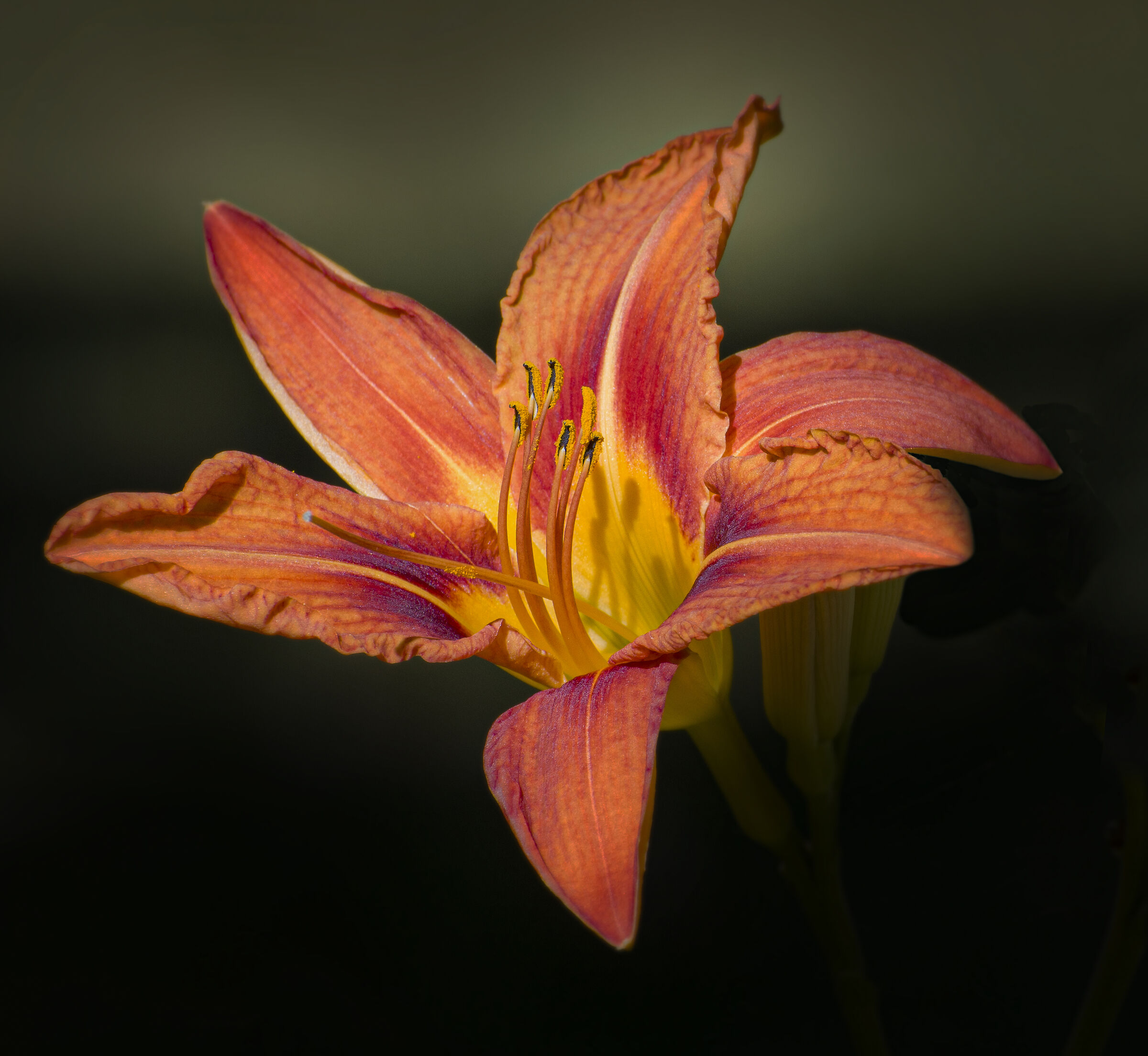 Io ed il Giglio...un bel incontro!