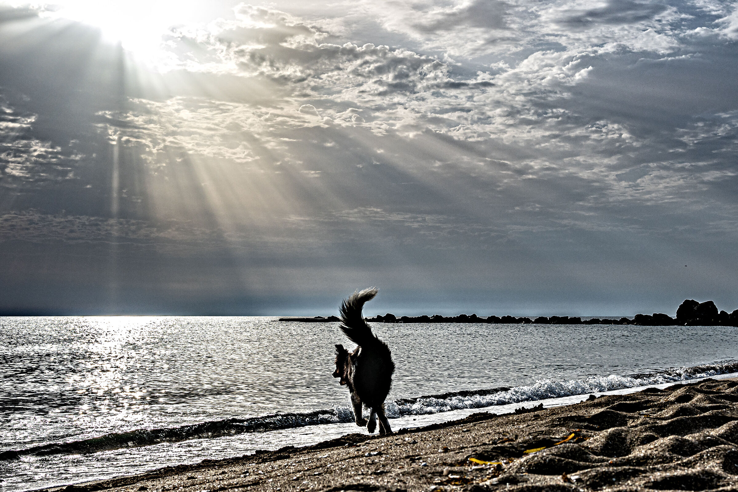 The Dawn of Asia 3