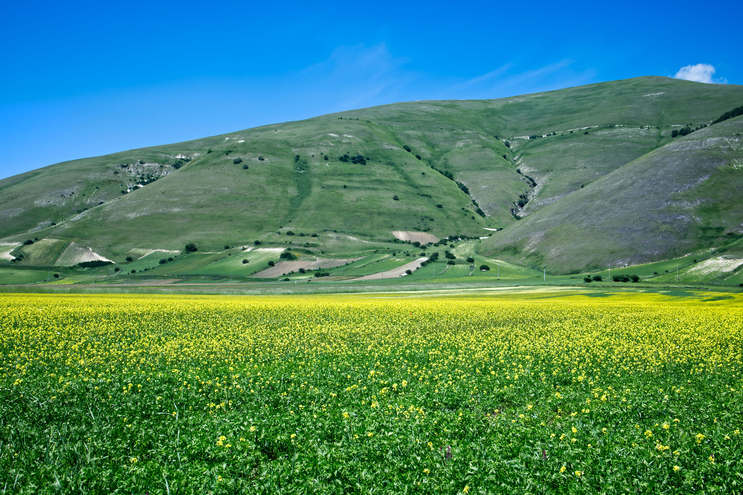 Impluvi towards a yellow sea