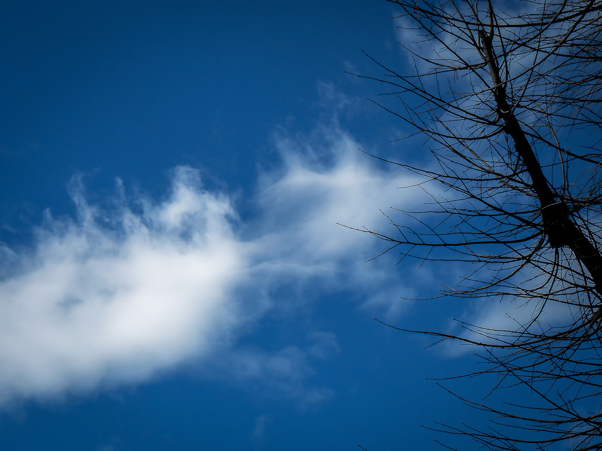 Between heaven and earth