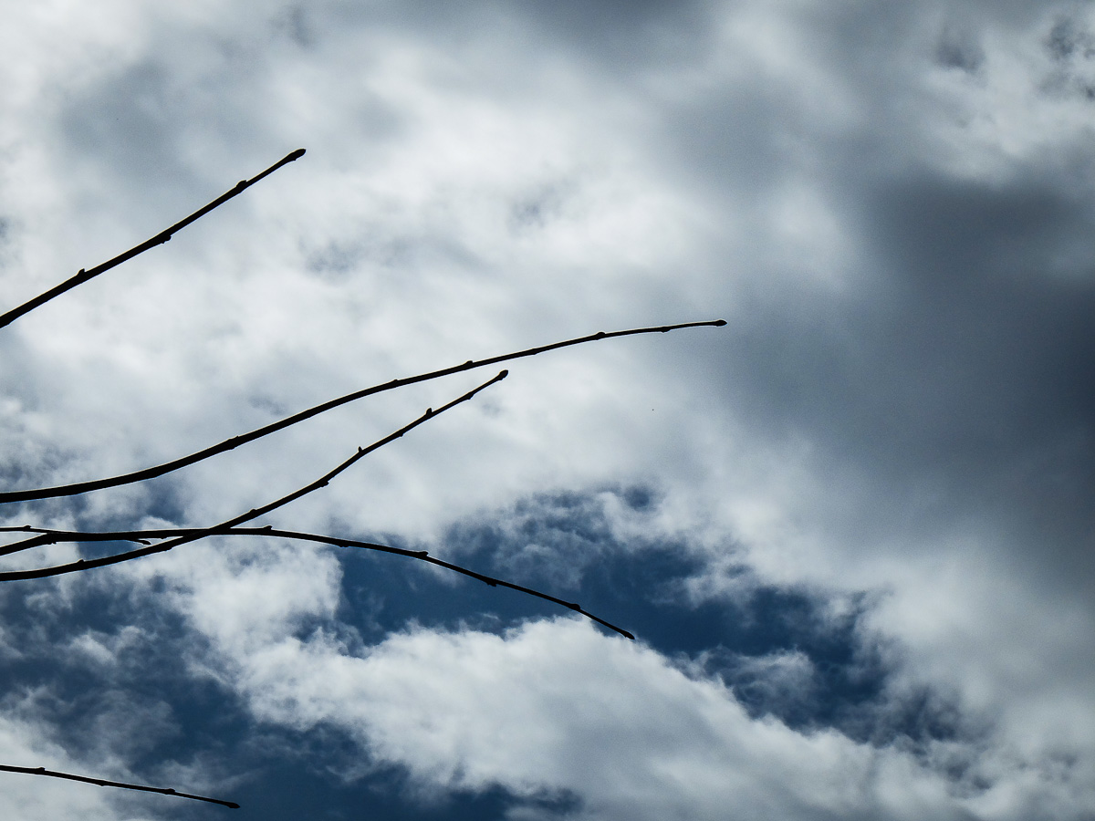 Between Heaven and Earth 2