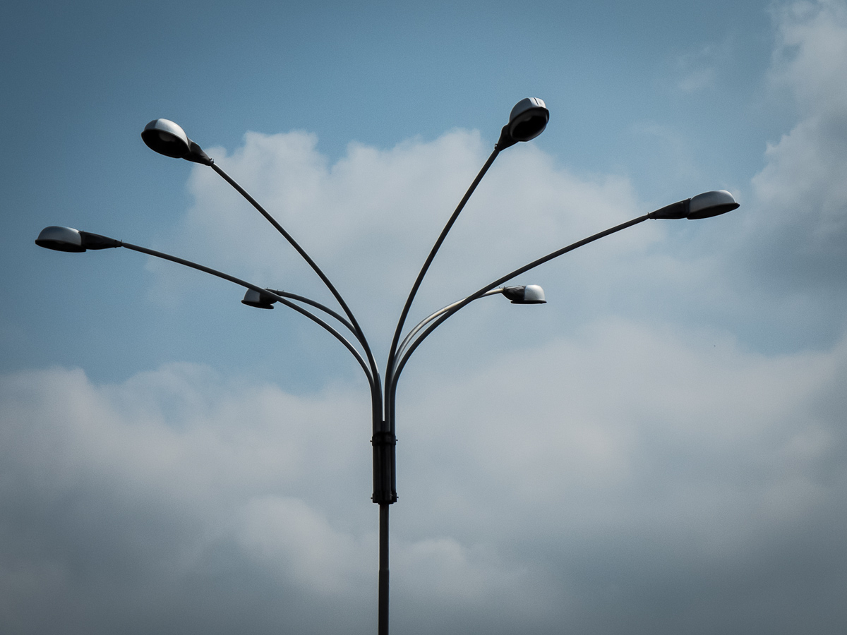 Fronds technological