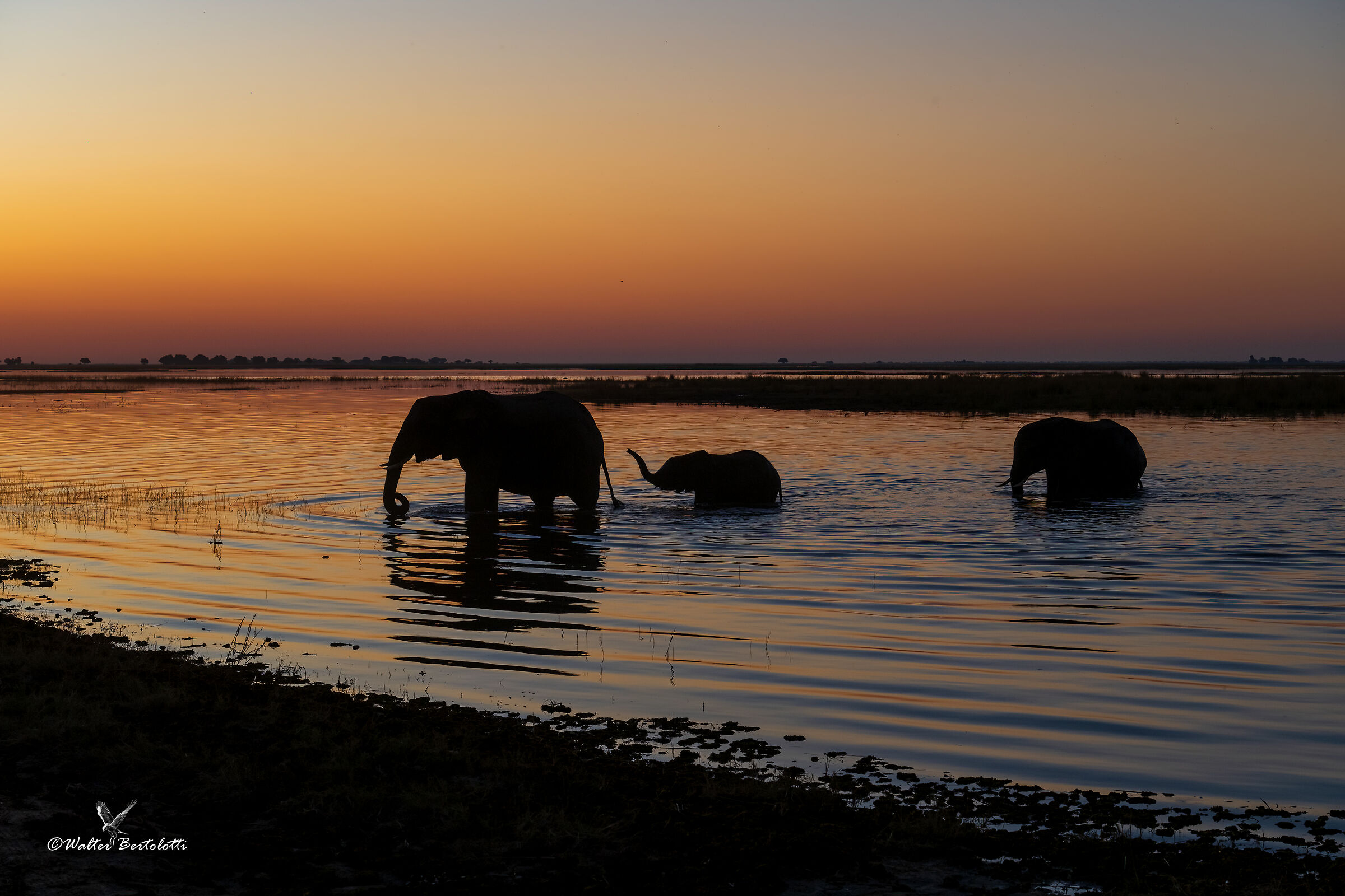 tramonto sul Chobe
