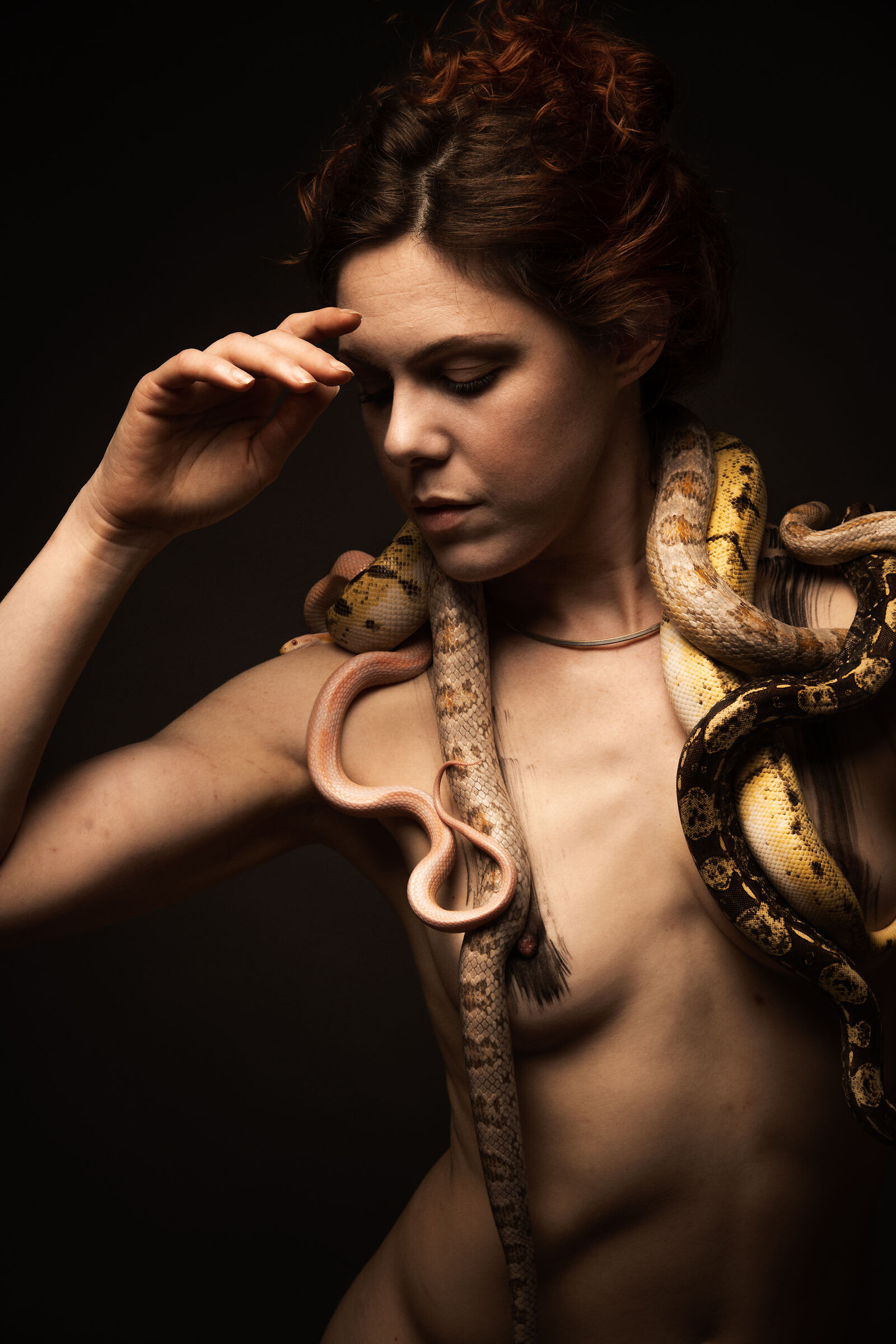 snakes