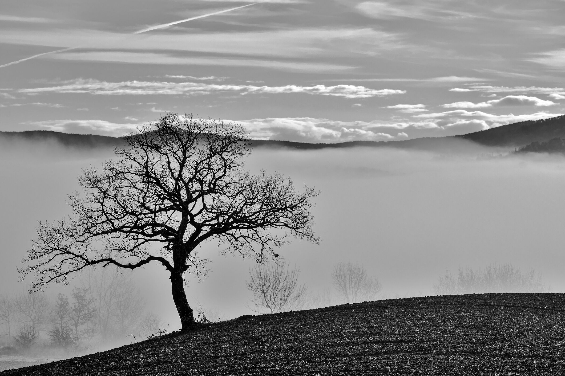 Mists