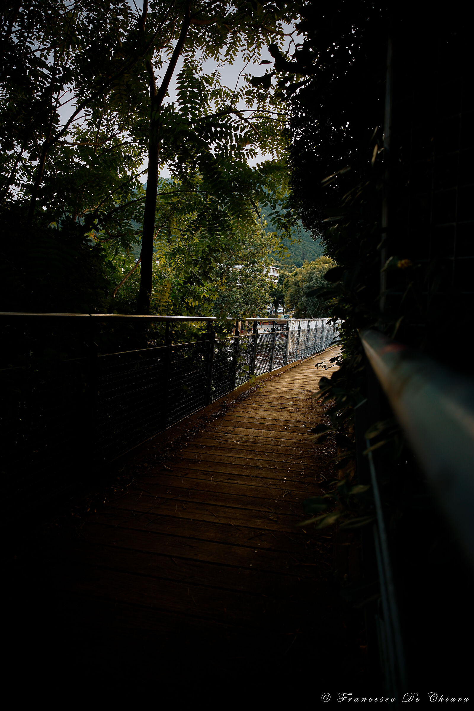 Untitled Photo