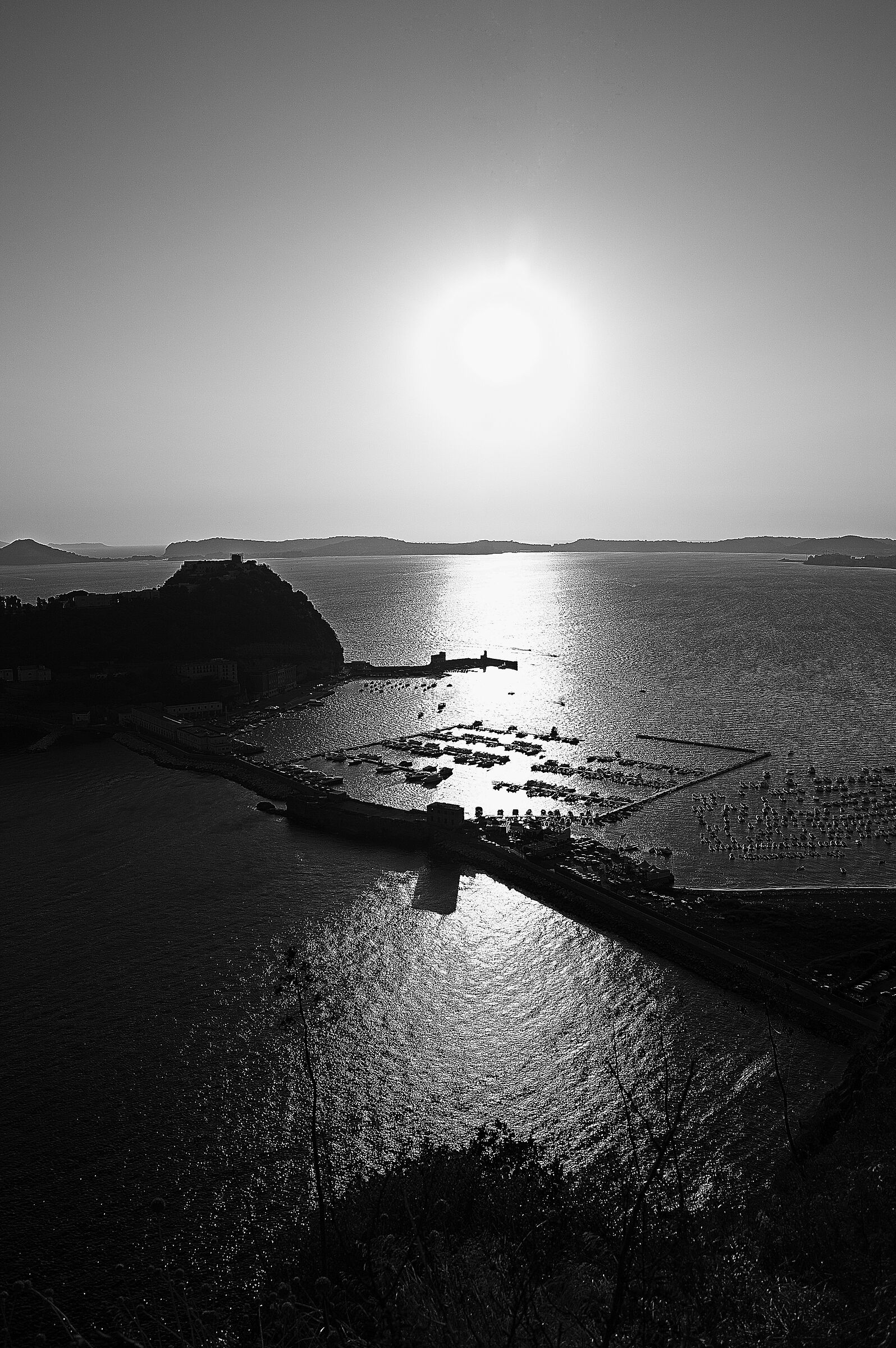 Untitled Photo
