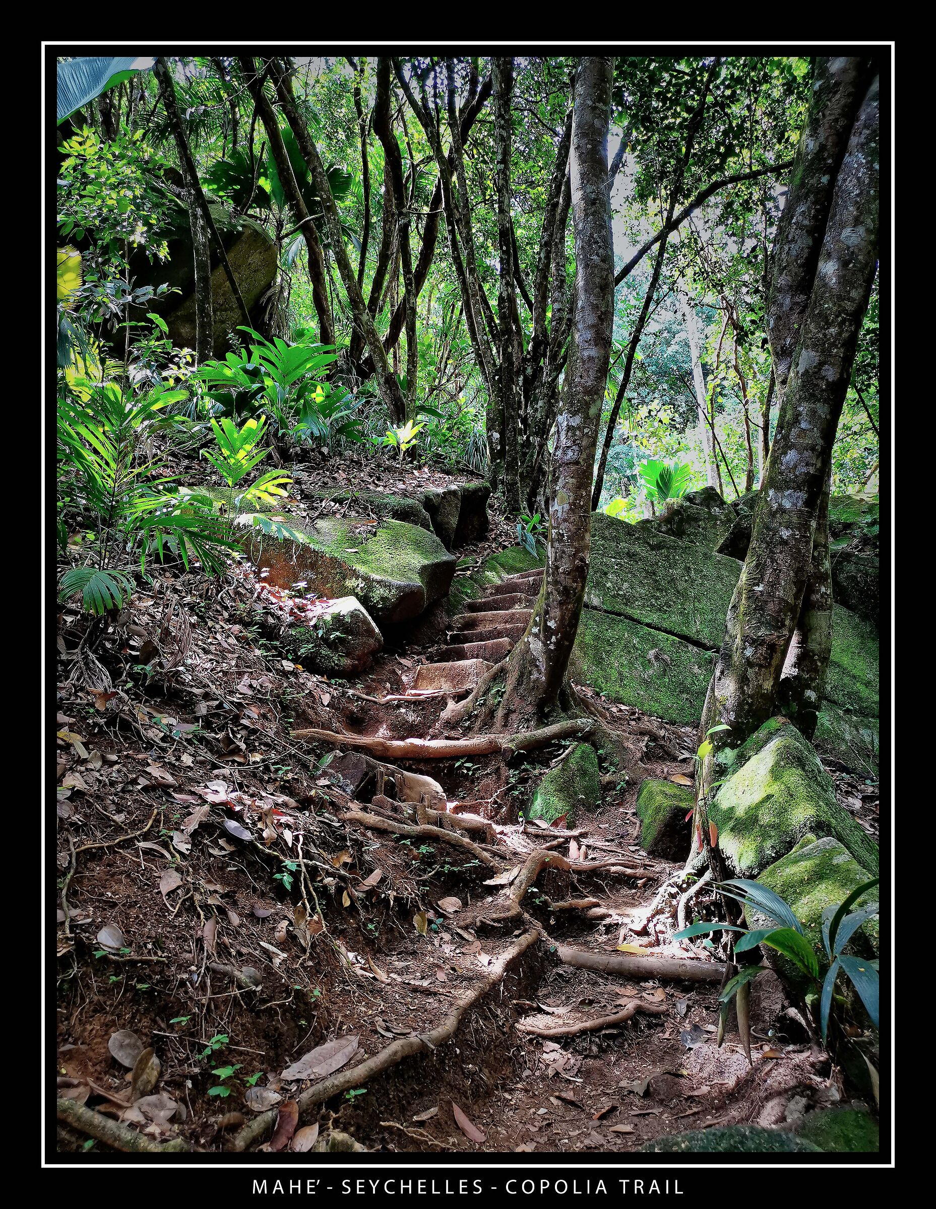mahe' - seychelles - Copolia Trail