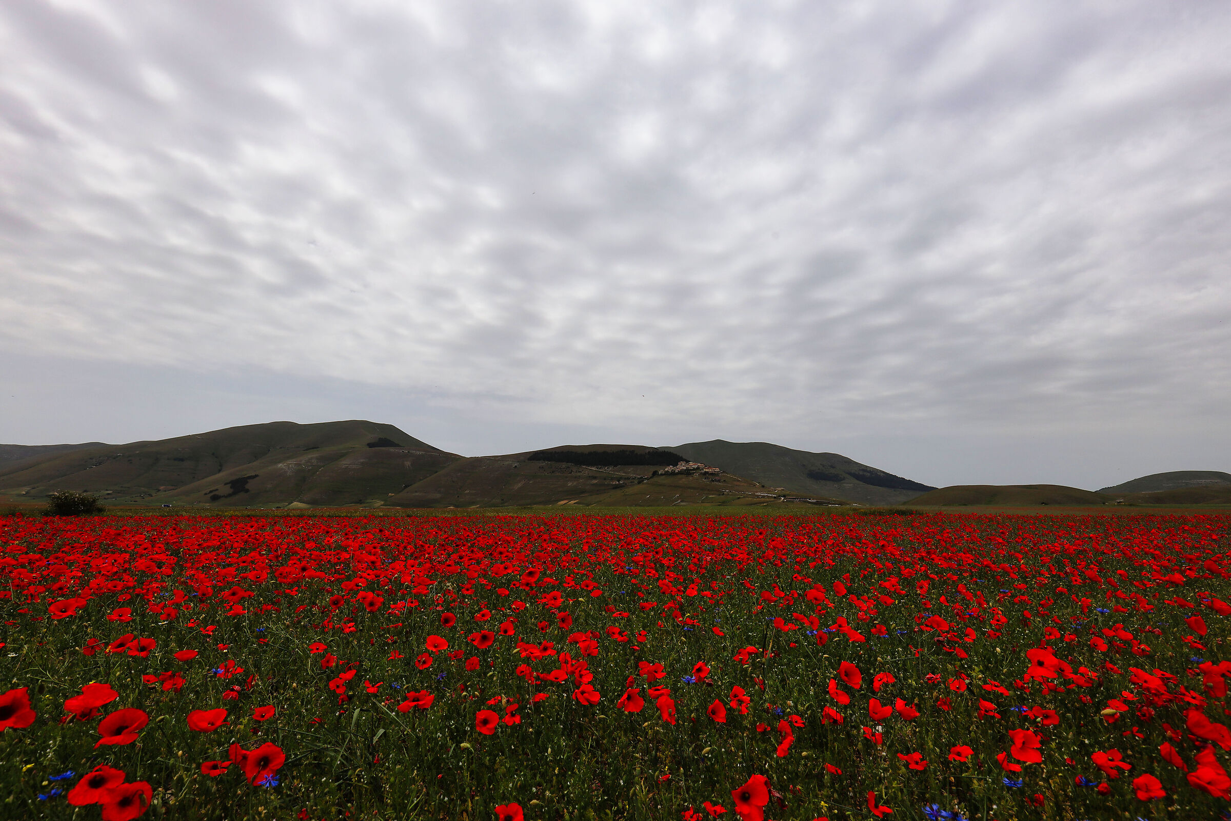 Cielo grigio a Castelluccio