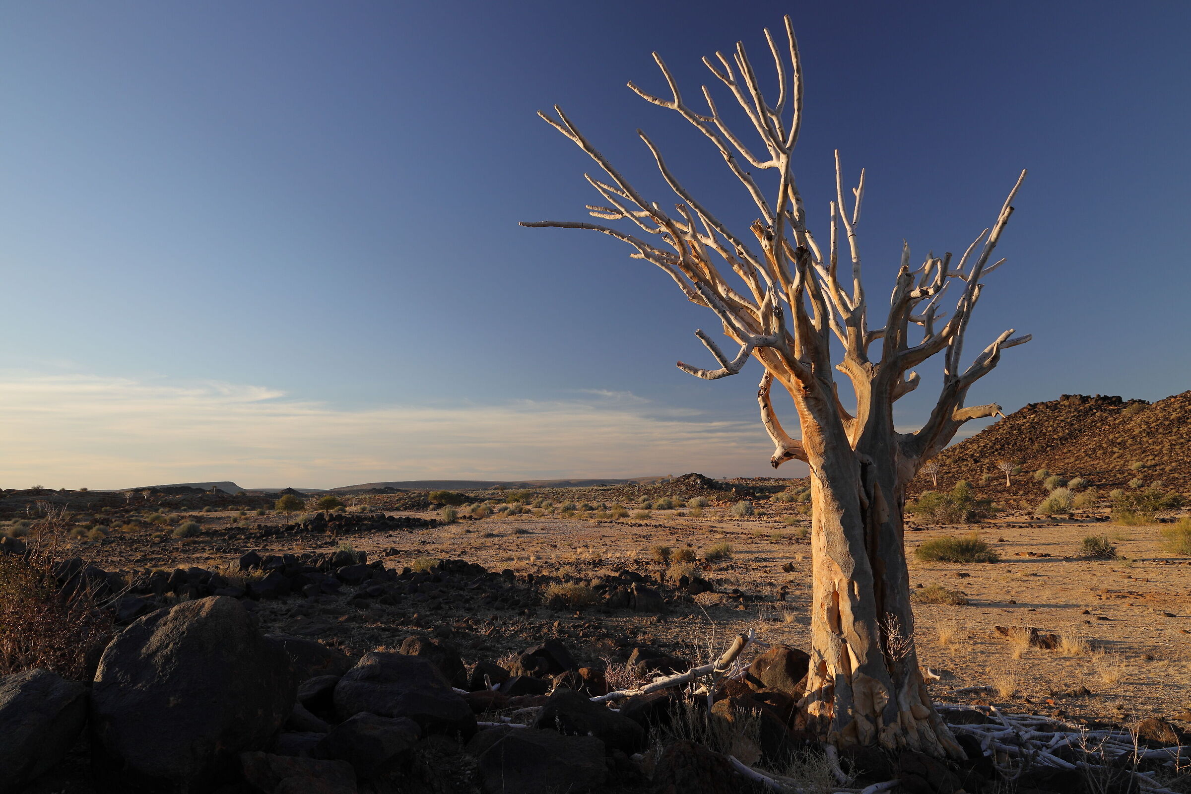 Namibia - Le luci della sera