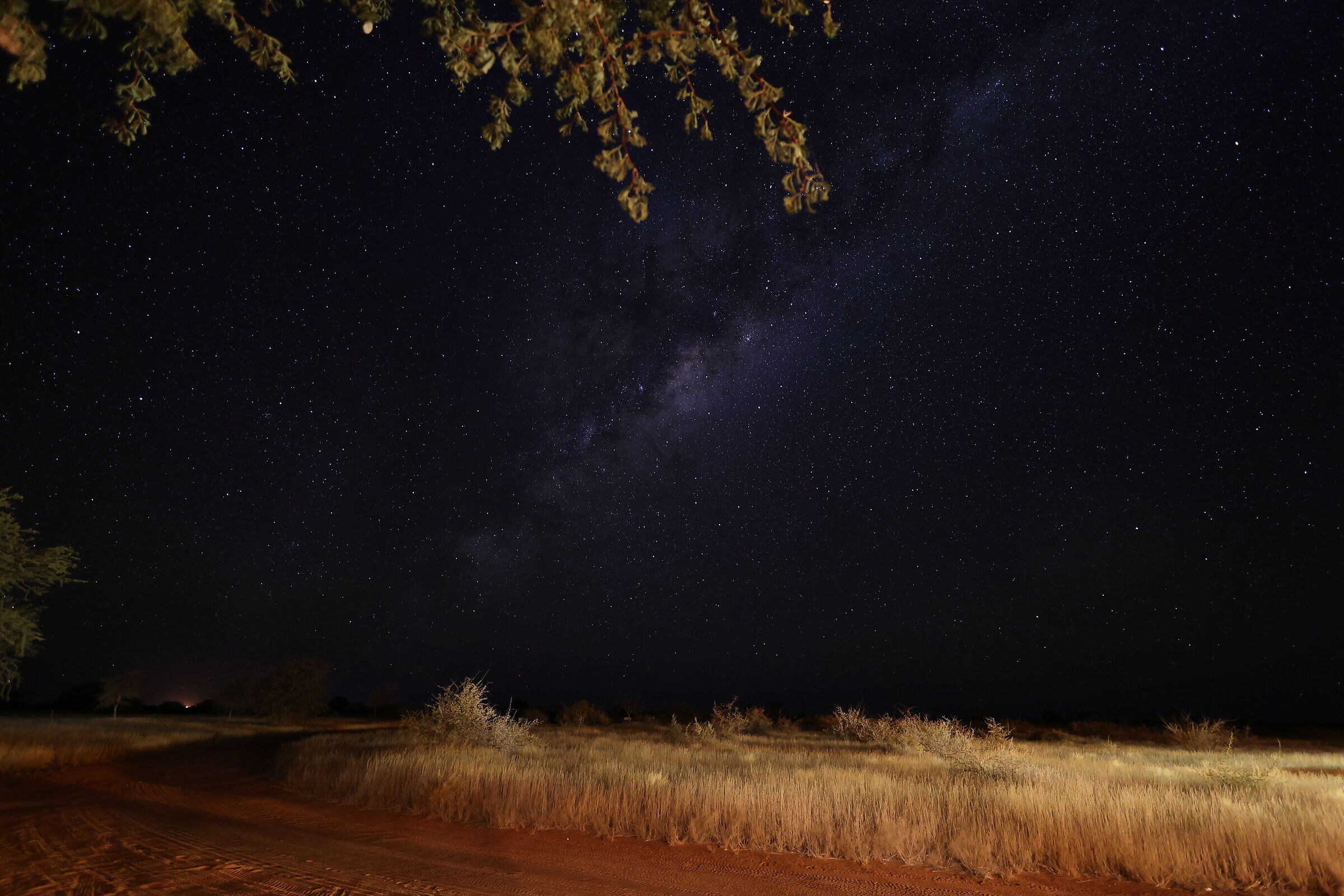 Tentativo di stellata