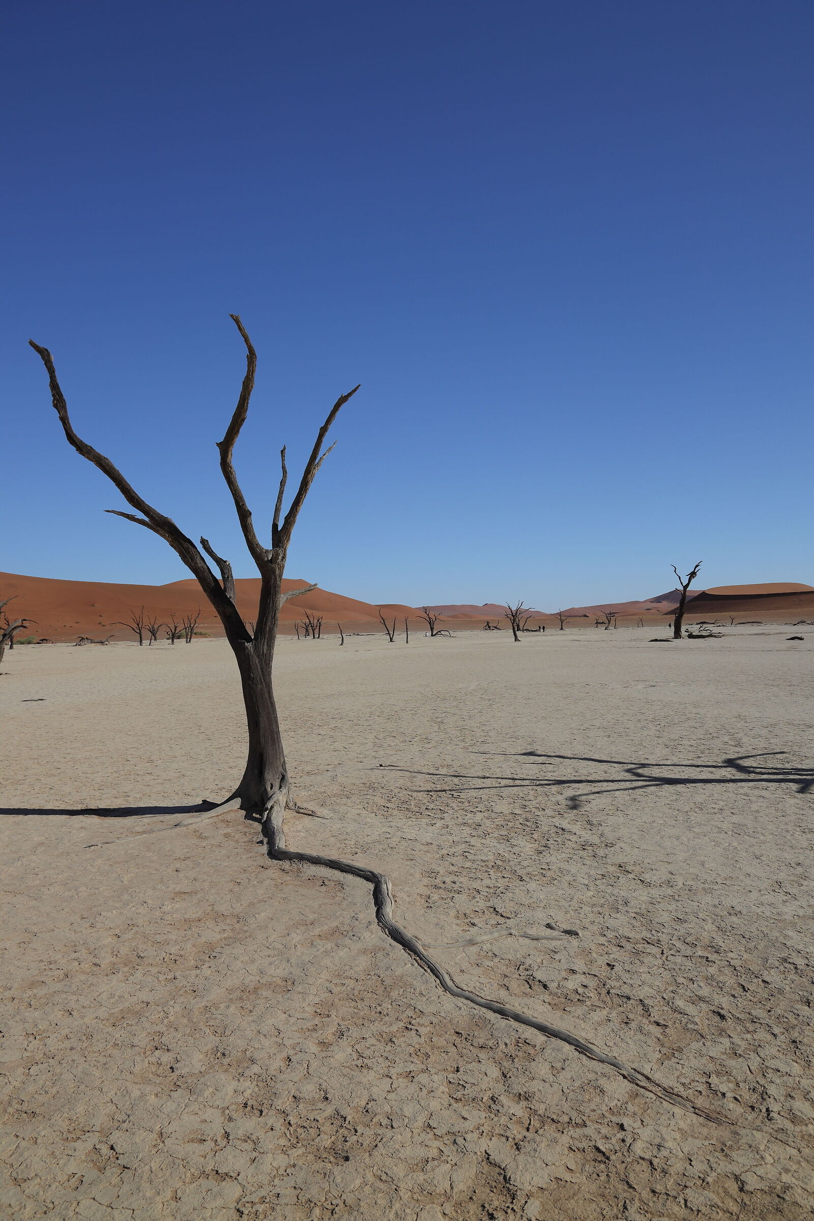 Namibia - Deadvlei