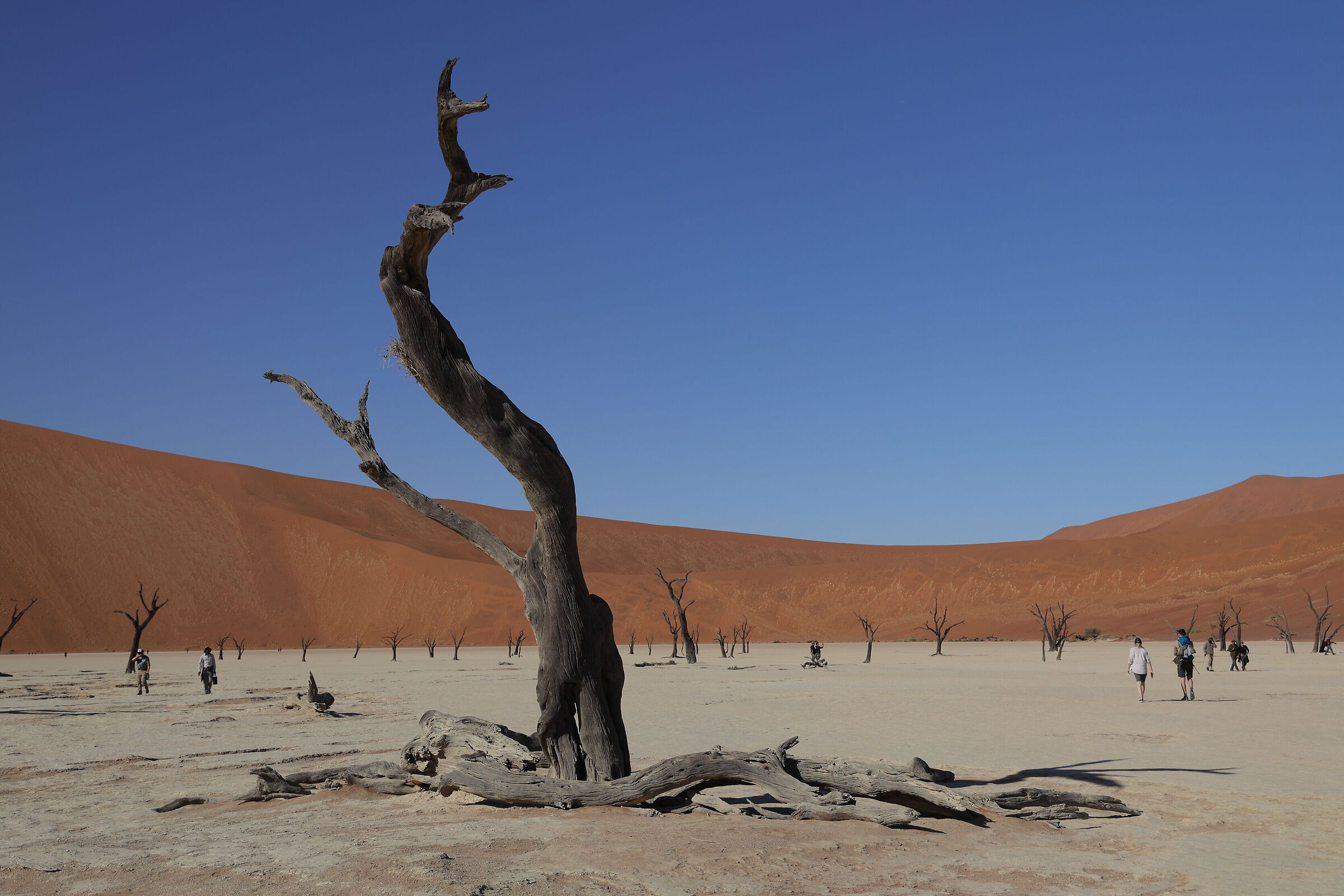 Namibia - Deadvlei