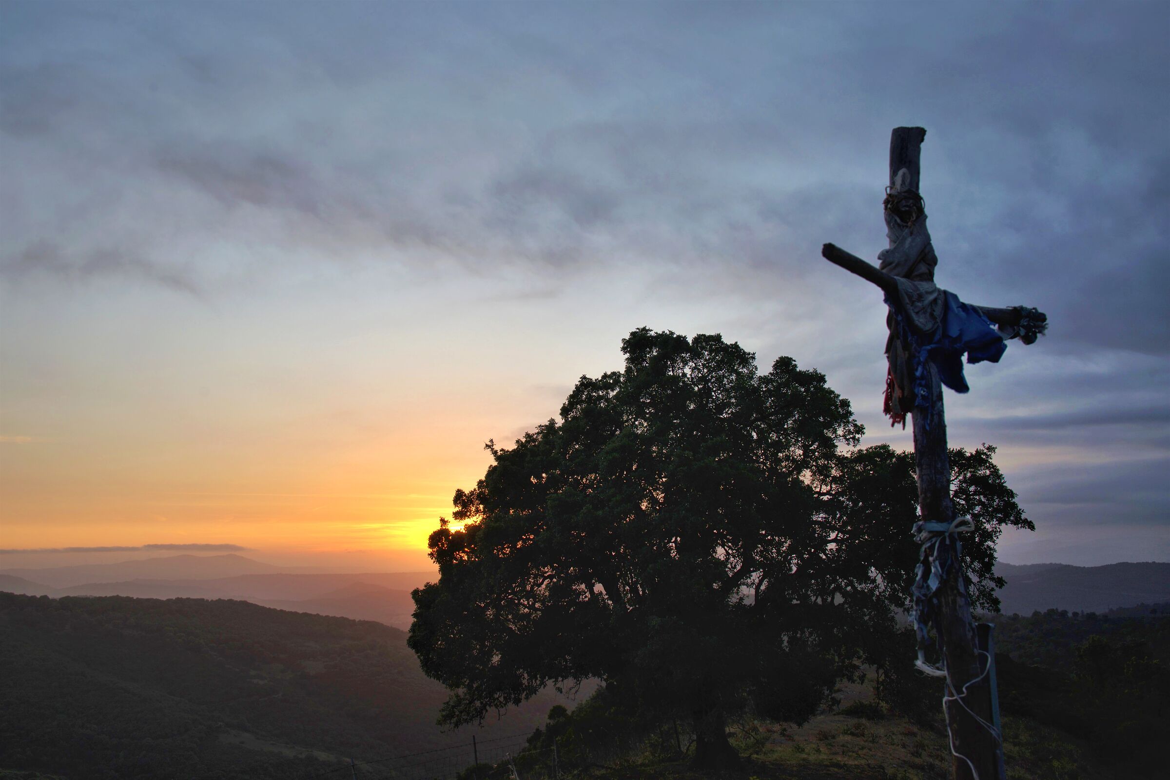 a cross in nature that you don't expect
