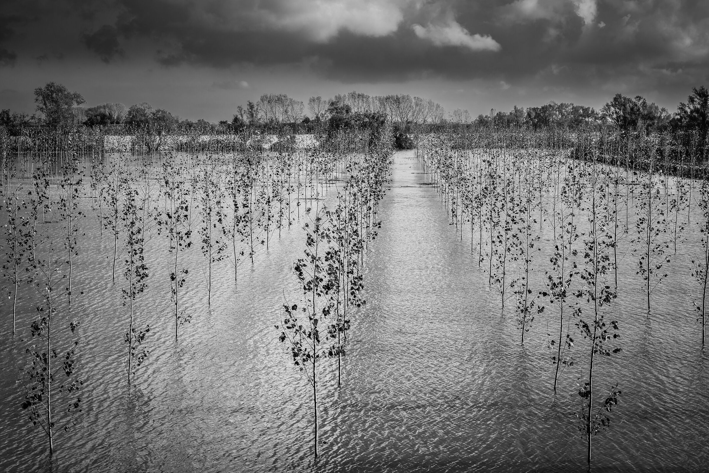 C'era una volta...l'acqua